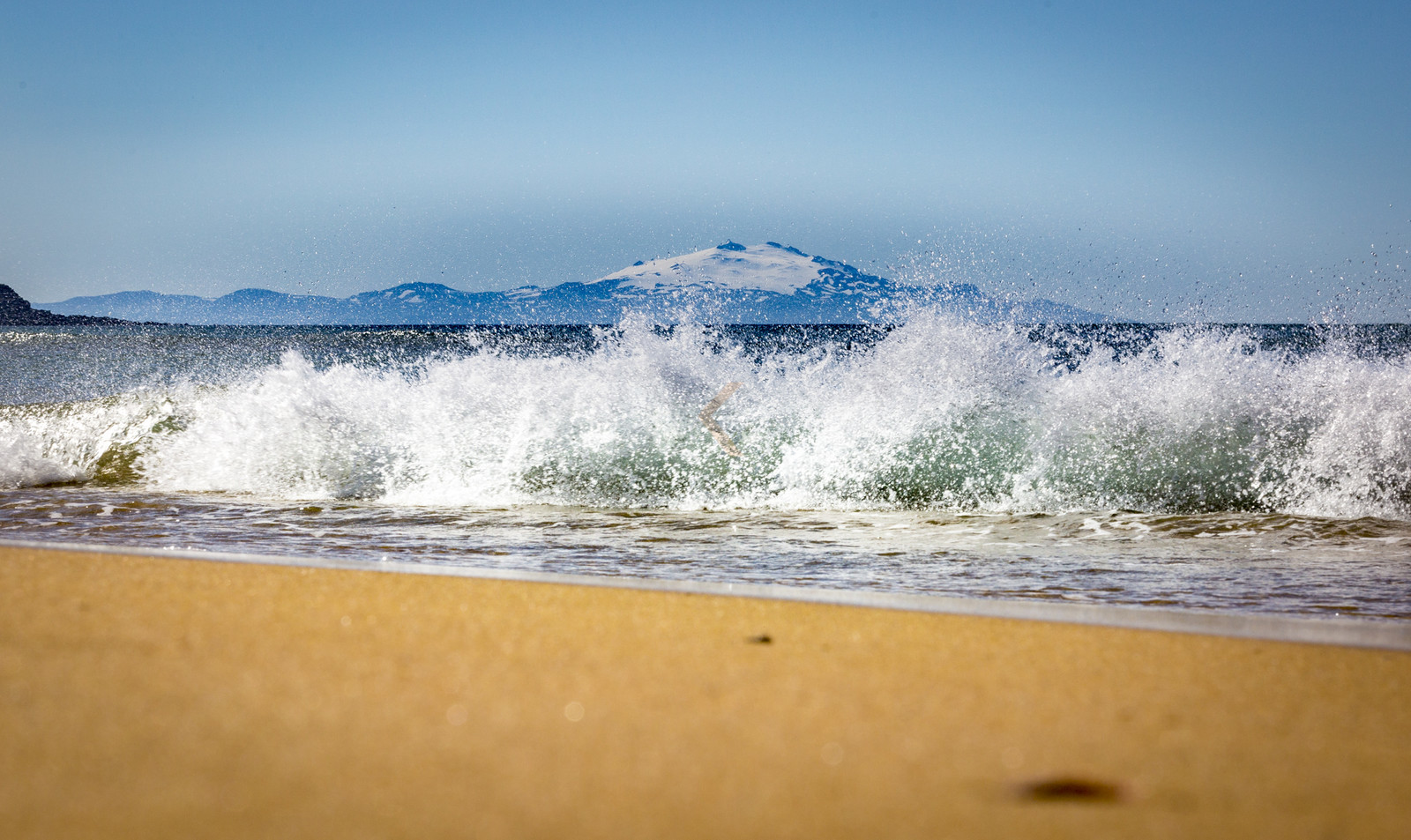 O60A8579.jpg O60A8579.jpg