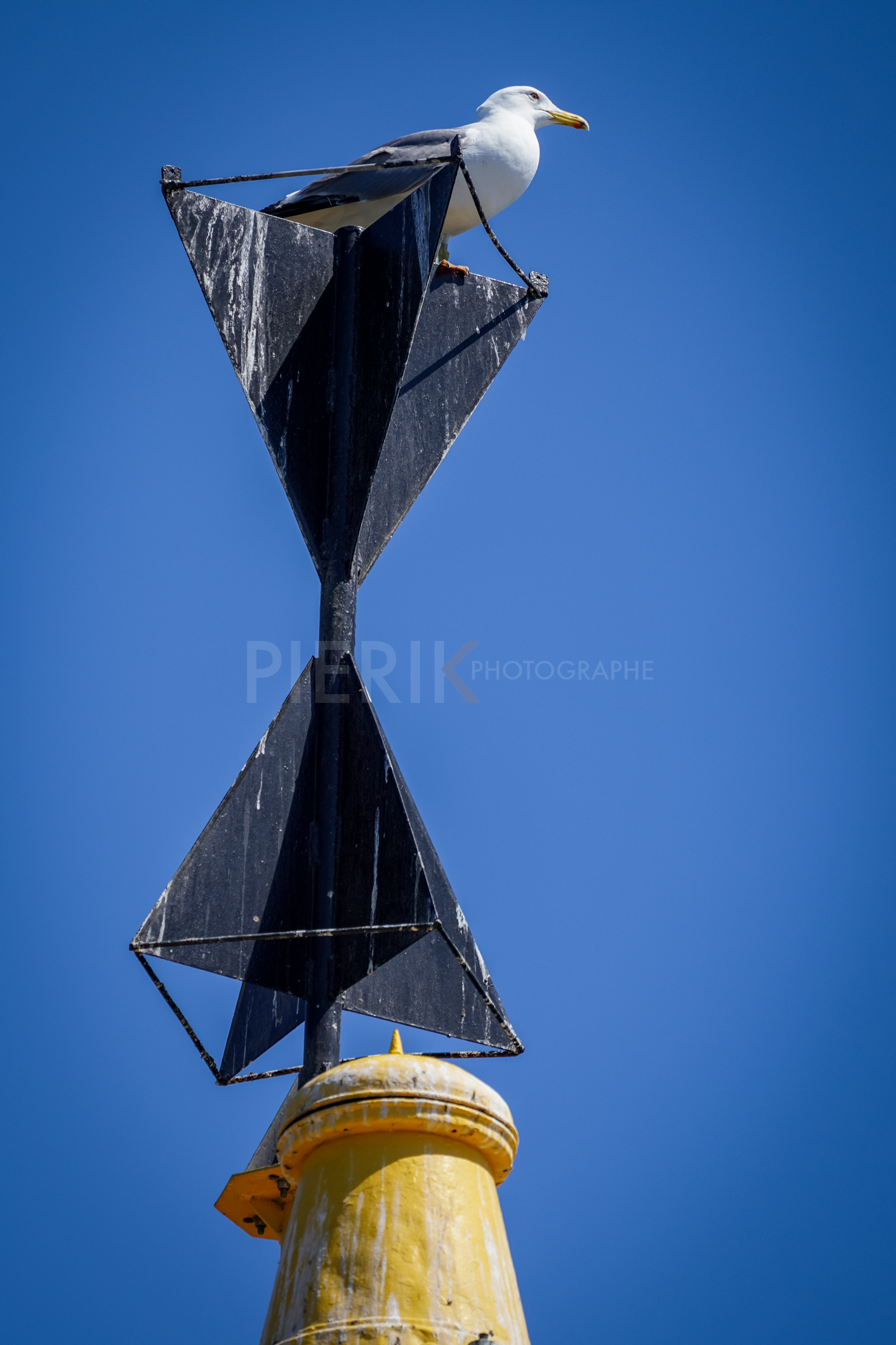 SNIM_J3 2022-03314.jpg