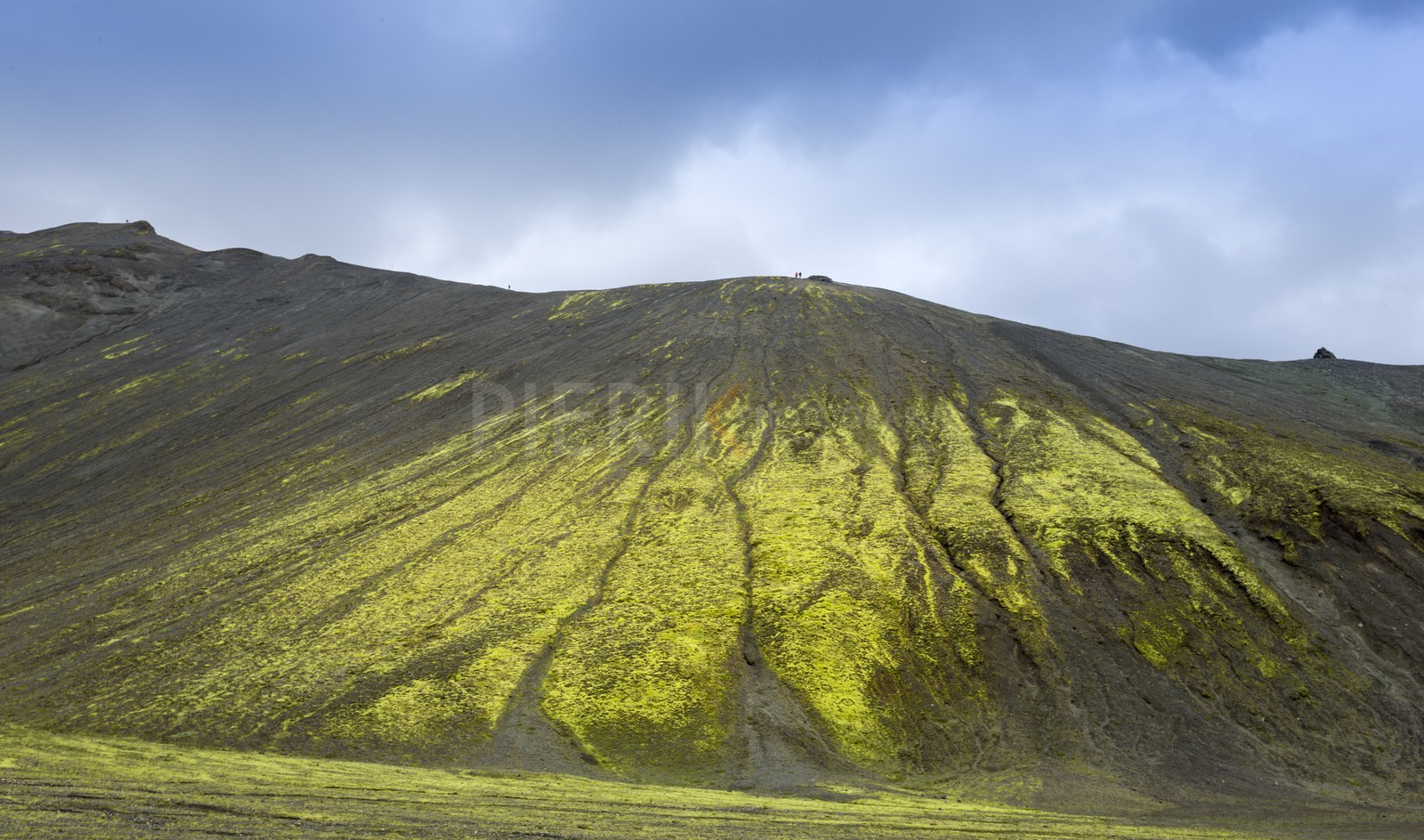 A29X5157.jpg A29X5157.jpg