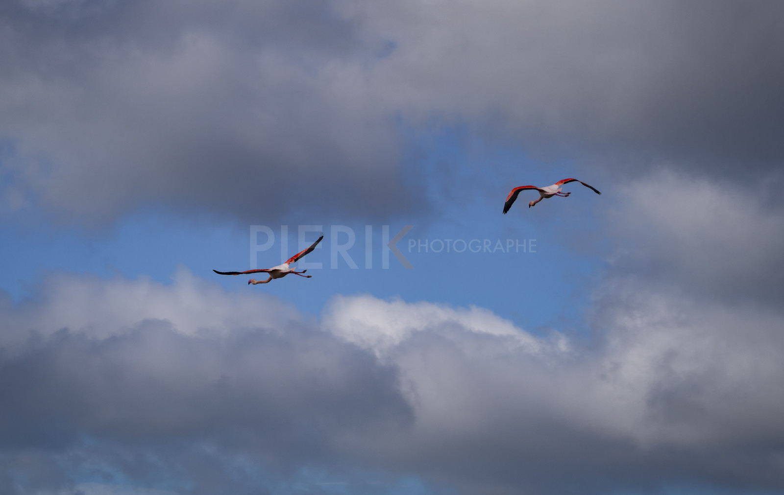DSC02914-Pierik.jpg