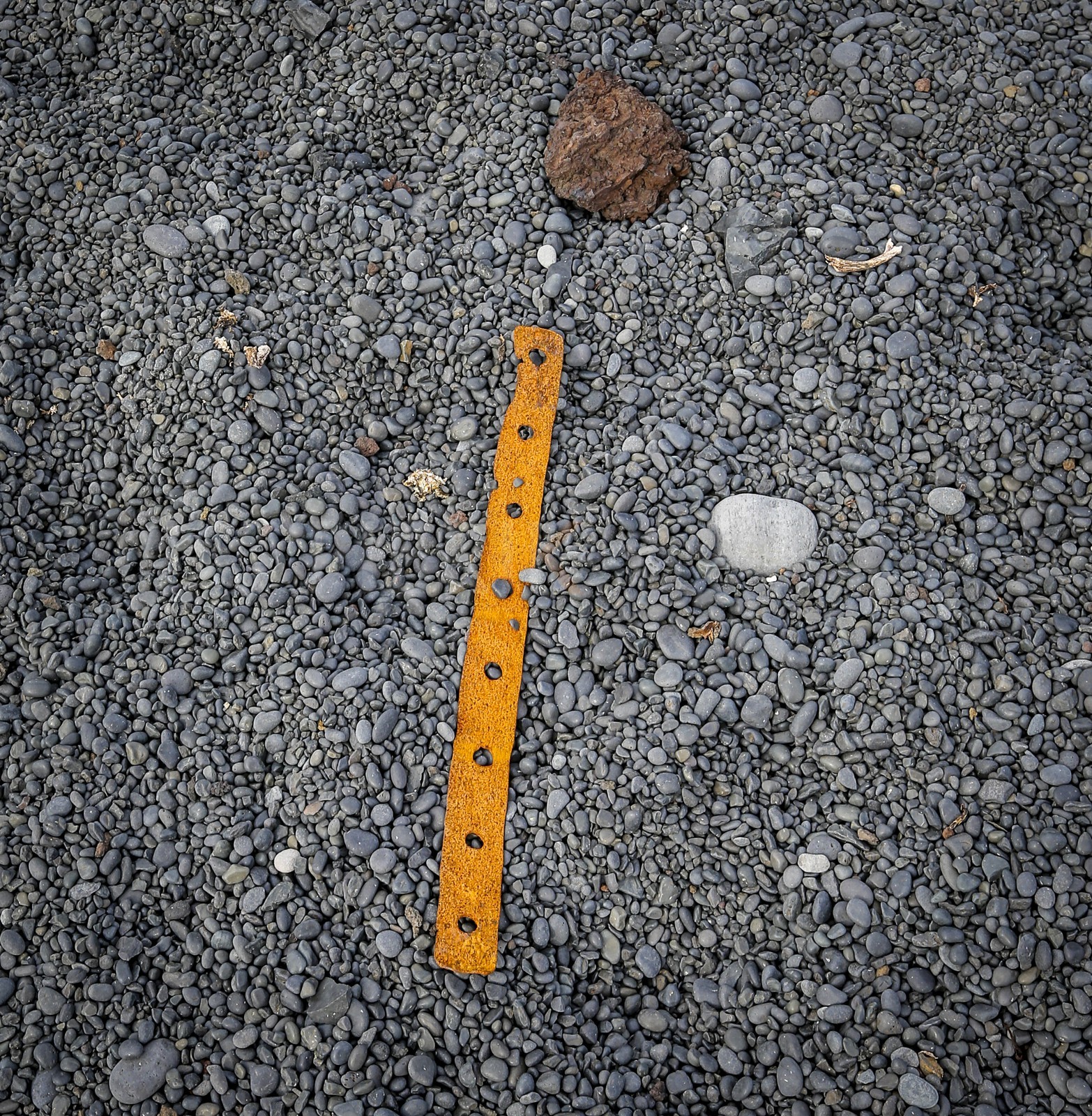 A29X3634.jpg A29X3634.jpg