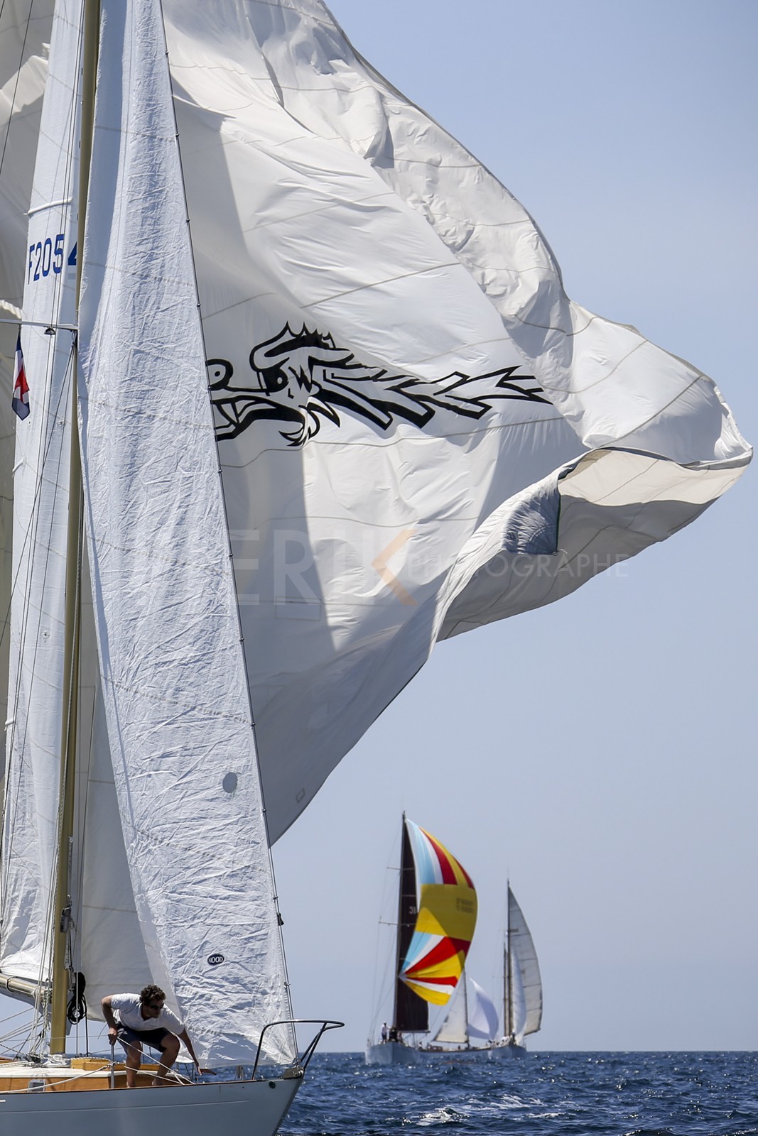 A29X2322.jpg