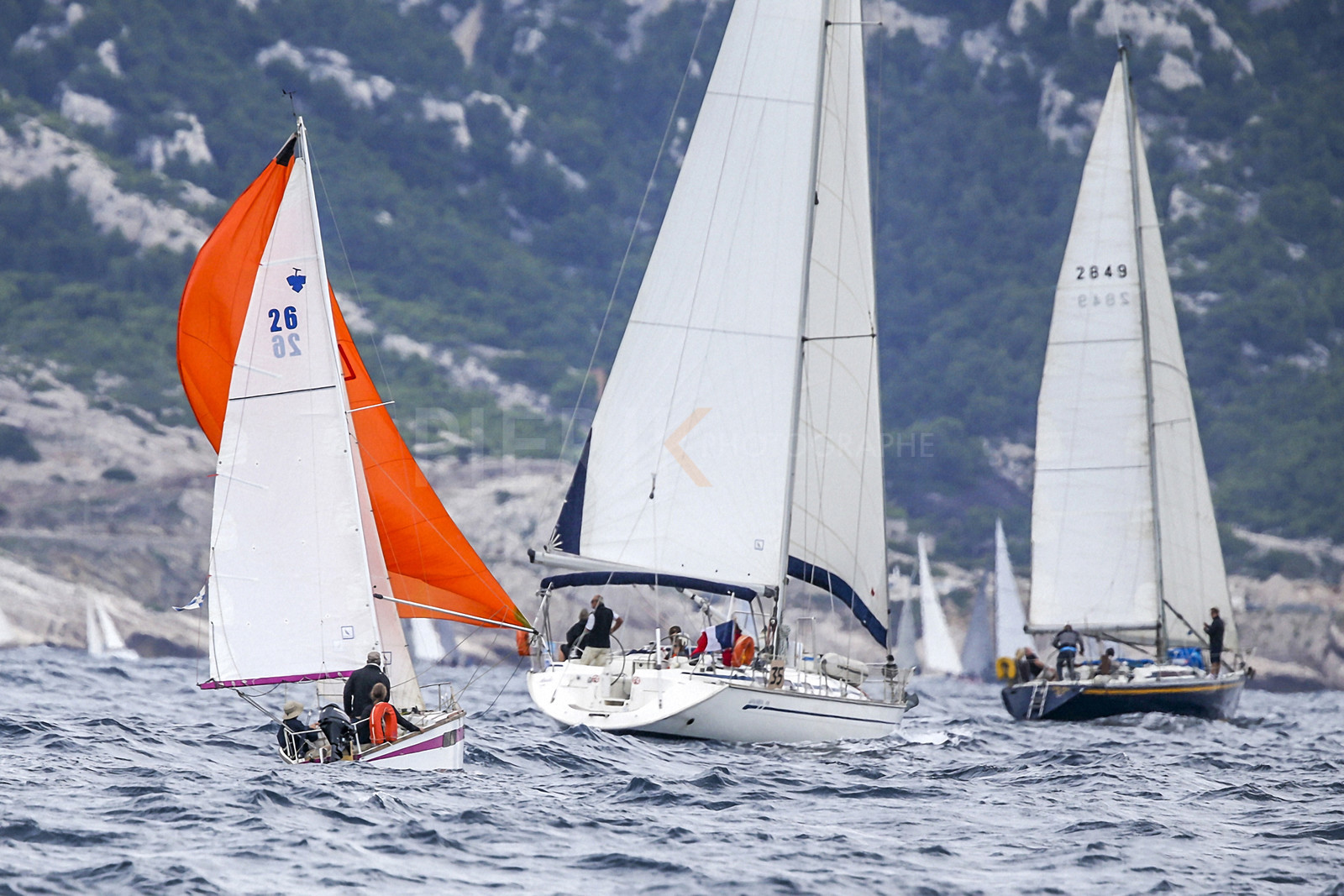 VireVire2014-276.jpg