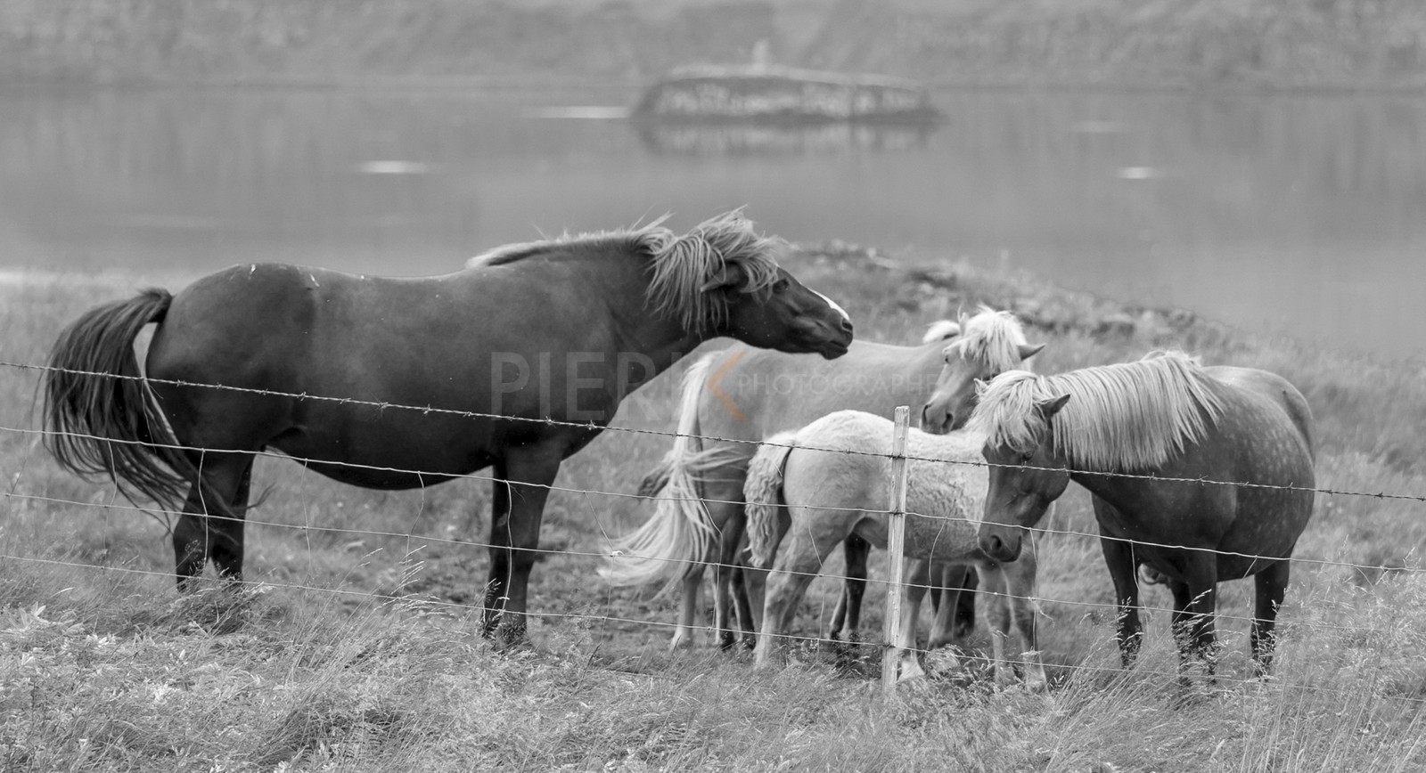 A29X3990.jpg A29X3990.jpg