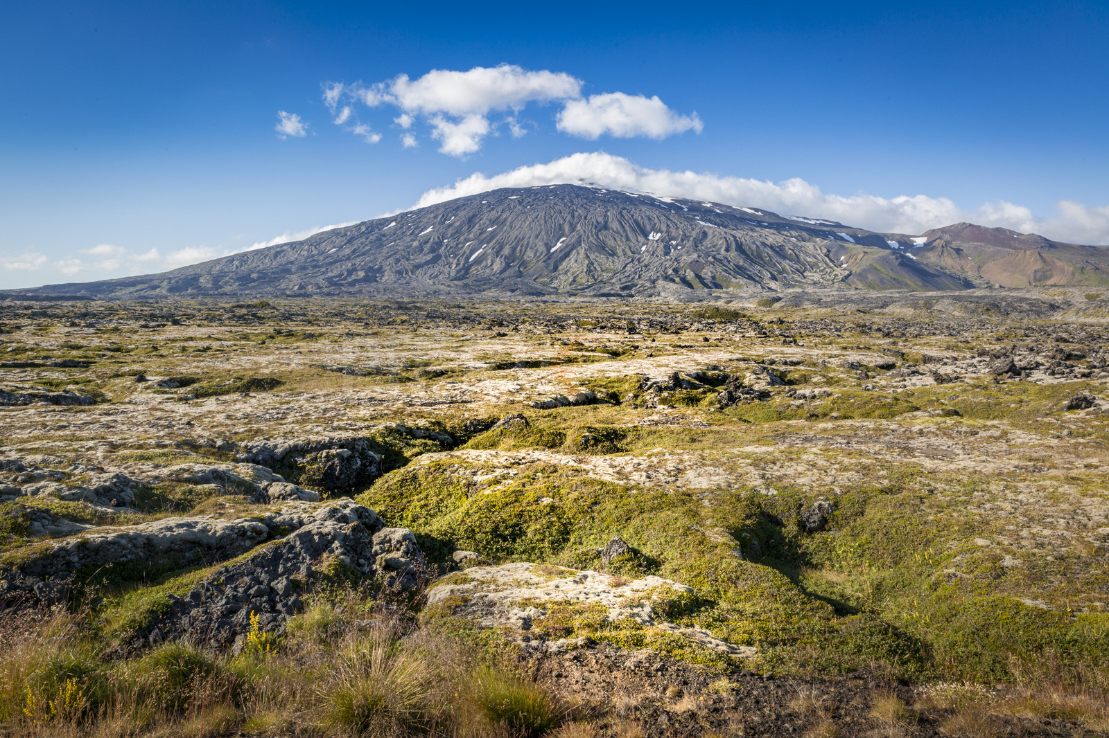 O60A3671.jpg O60A3671.jpg