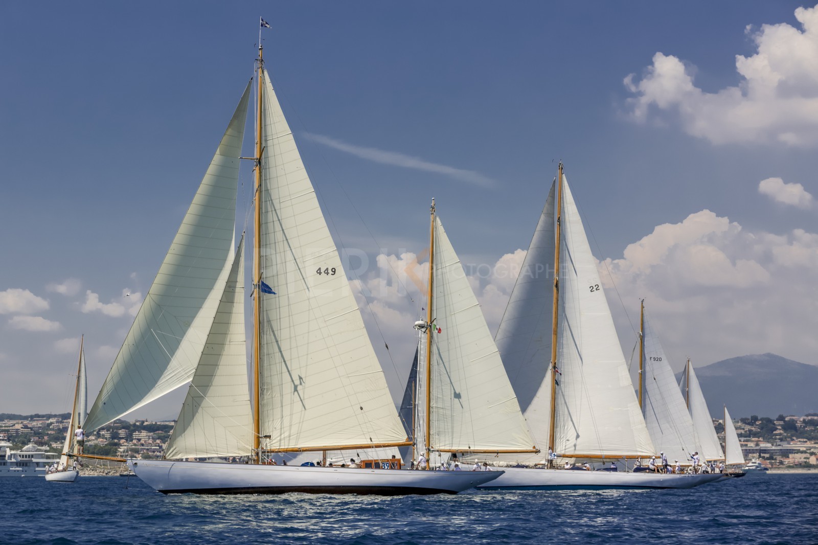 O60A7981.jpg
