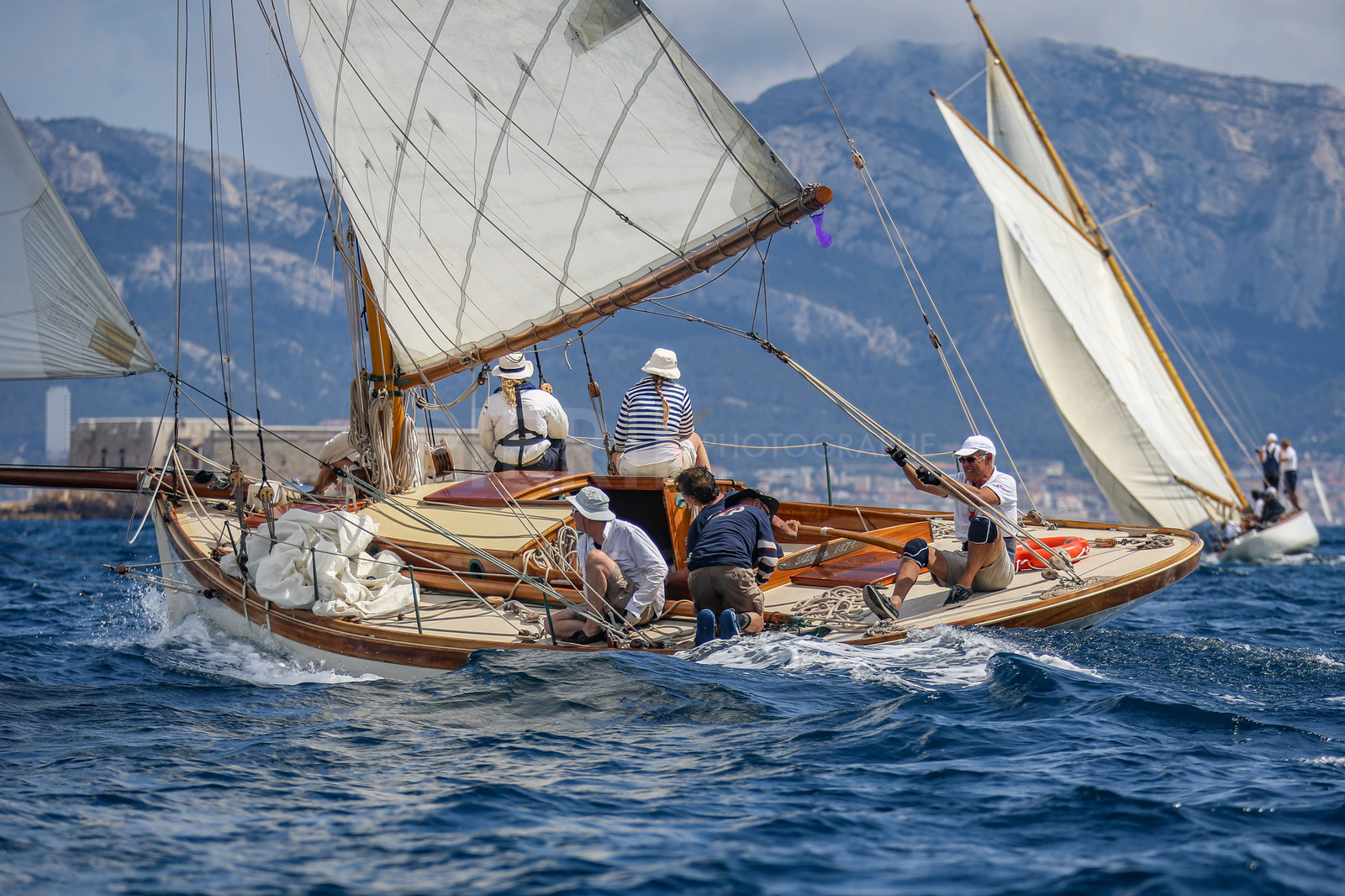 A29X4258.jpg