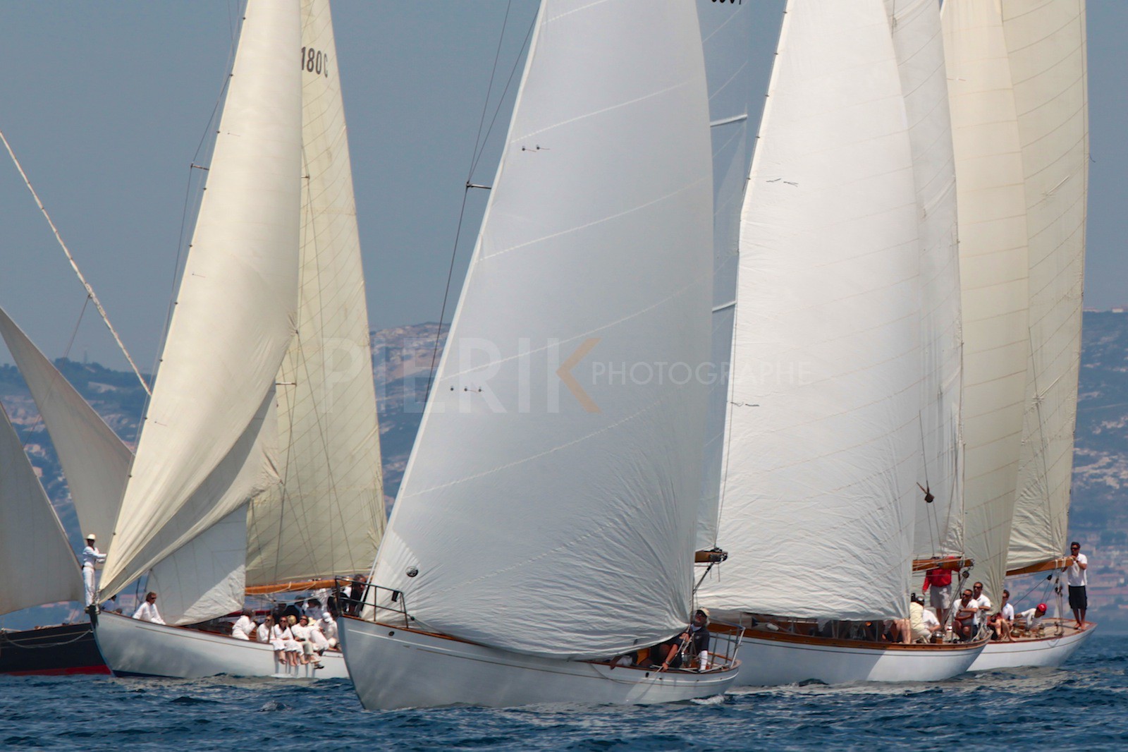 Andale, Nagaïna, Eilidh et Irène VIII au départ