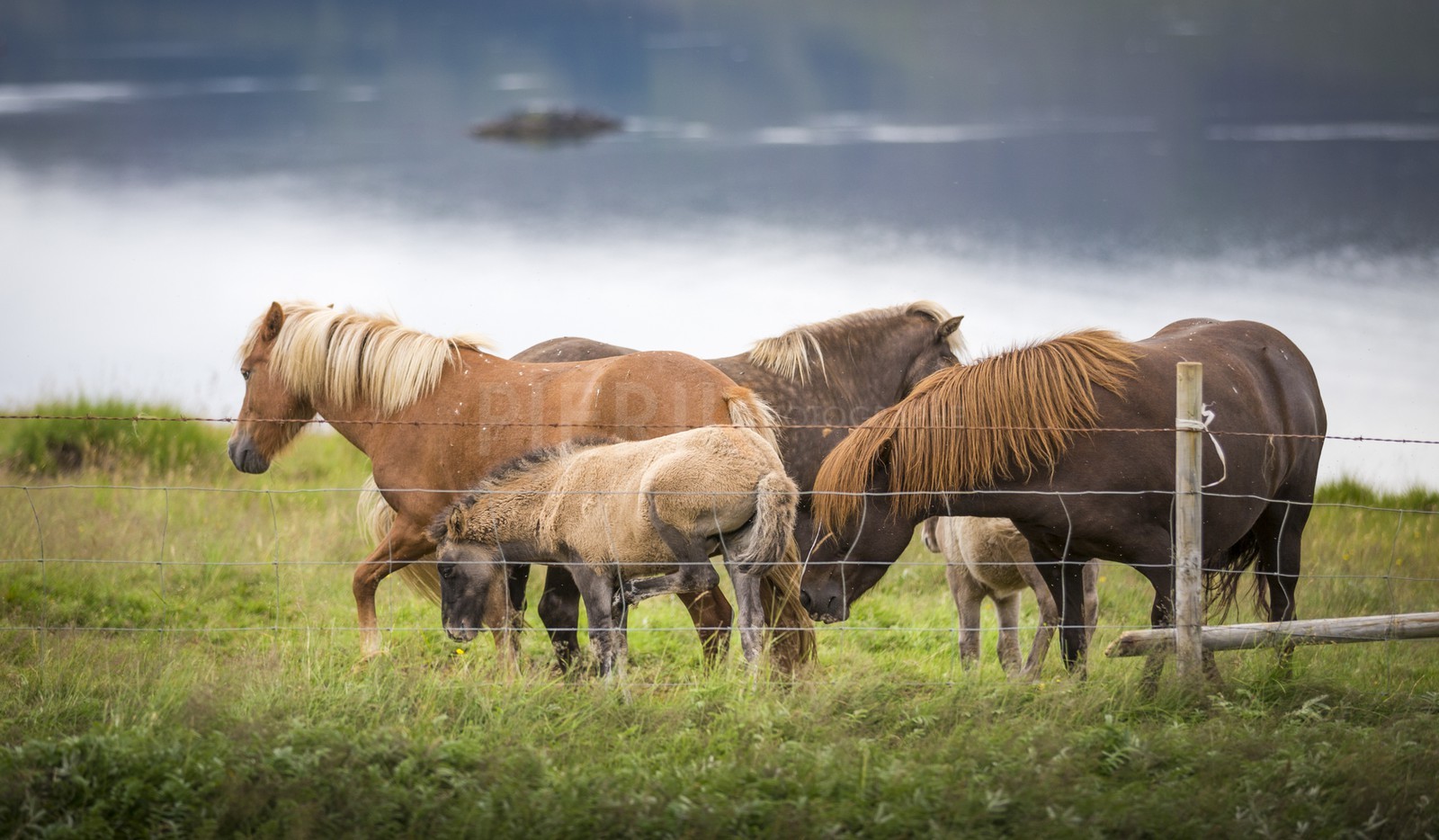 A29X3981.jpg A29X3981.jpg