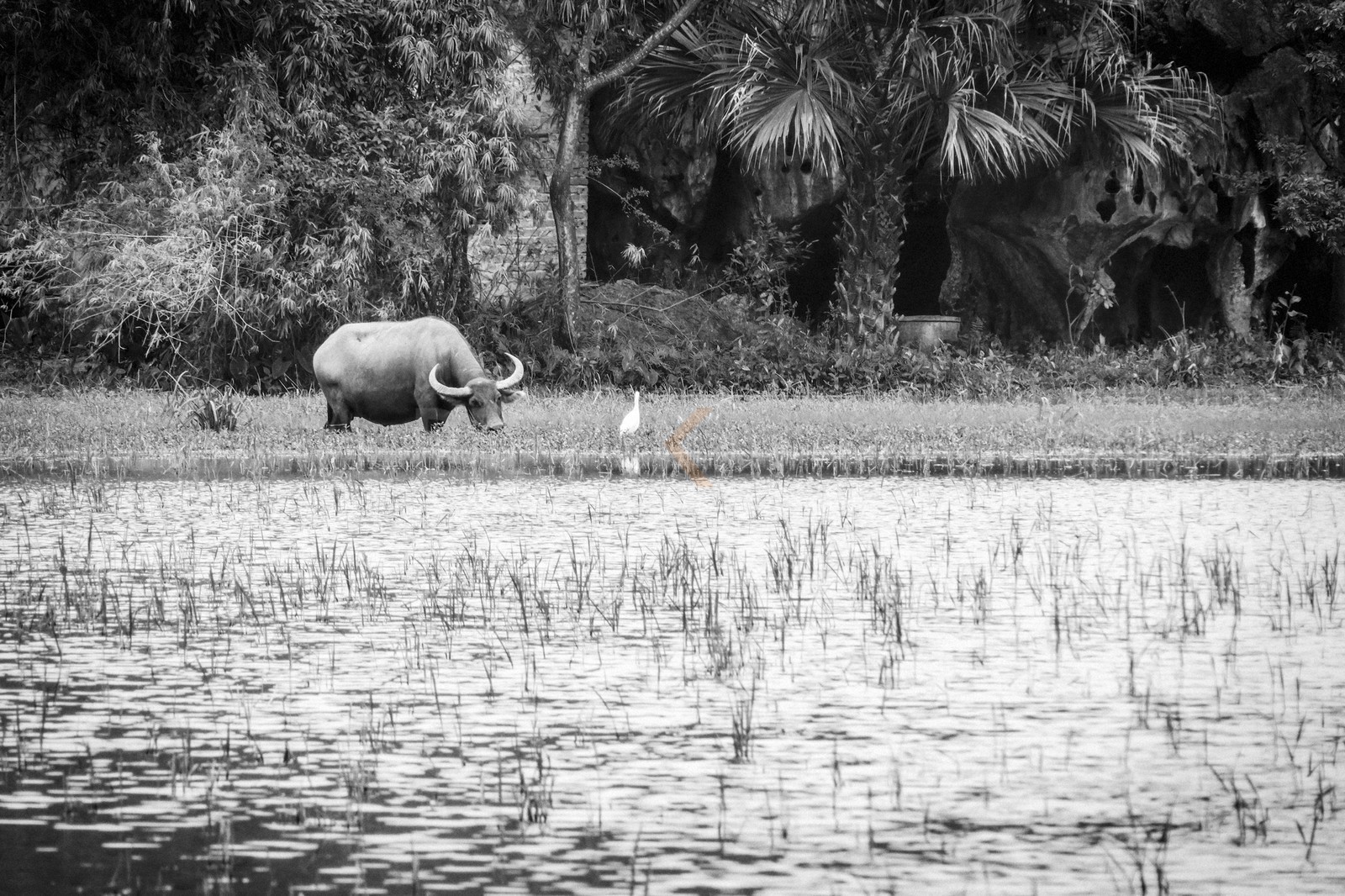 Tam Coc.jpg