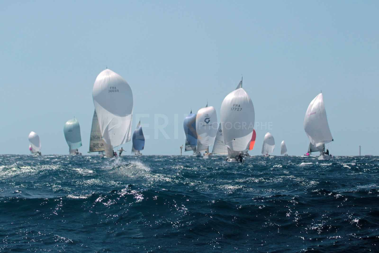 La flotte sous spi, rade Sud