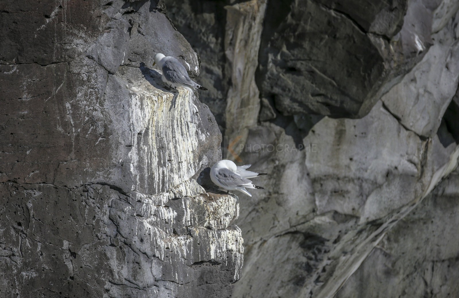 A29X3550.jpg A29X3550.jpg