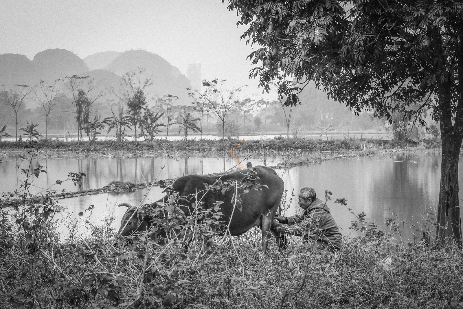 Tam Coc-19.jpg