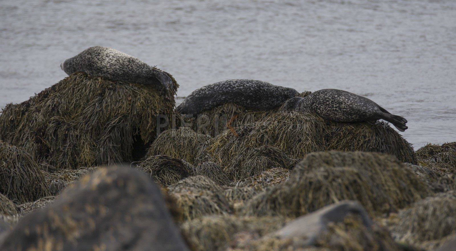 A29X3753.jpg A29X3753.jpg