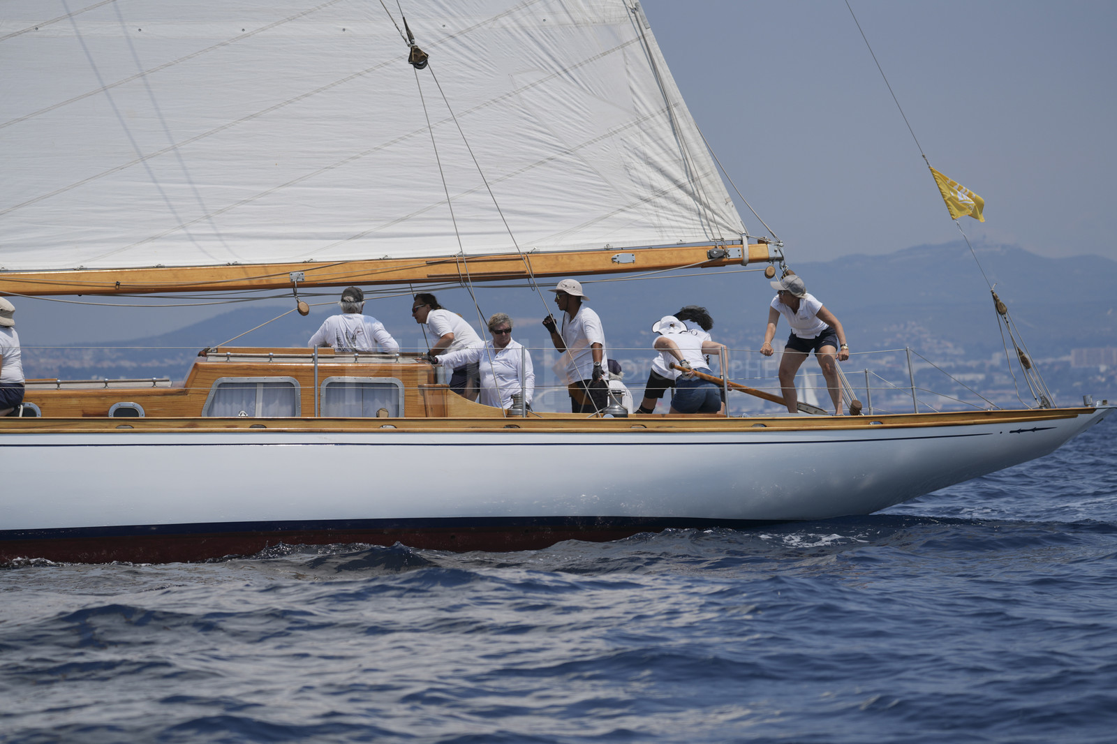 VVP_2023-07766.jpg