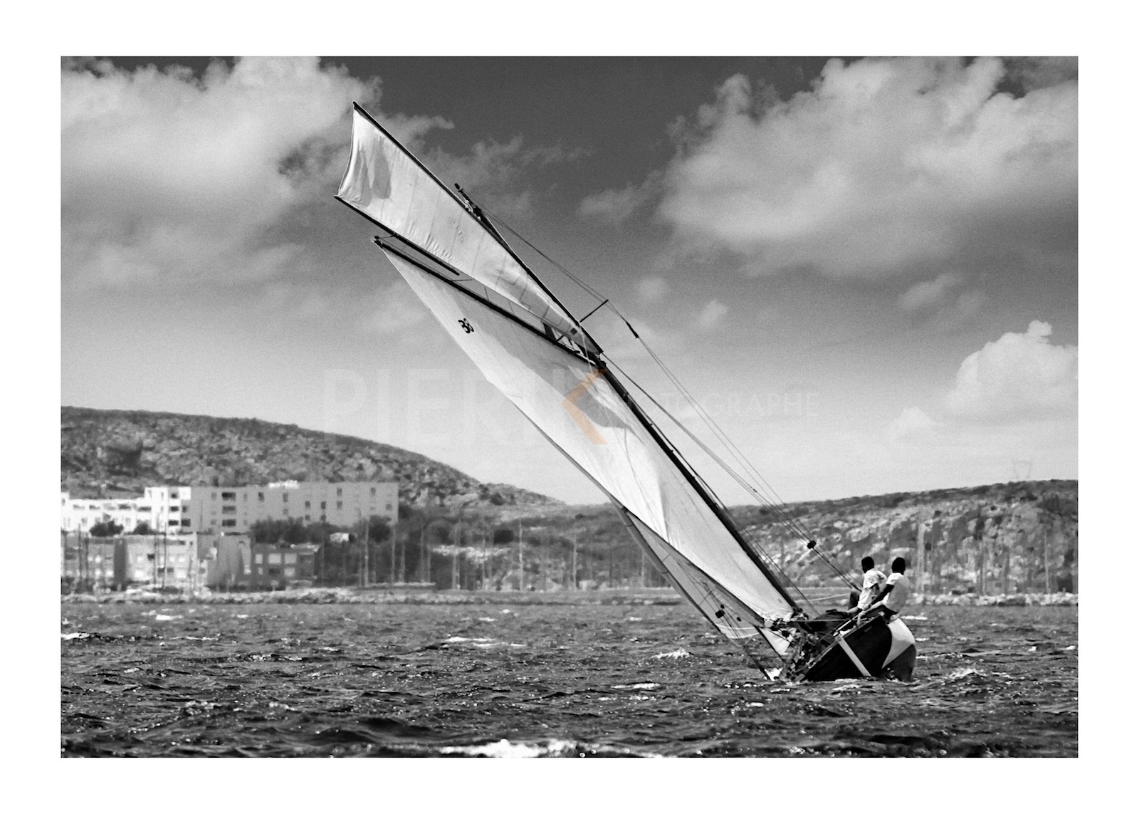 Thistle dans le Mistral