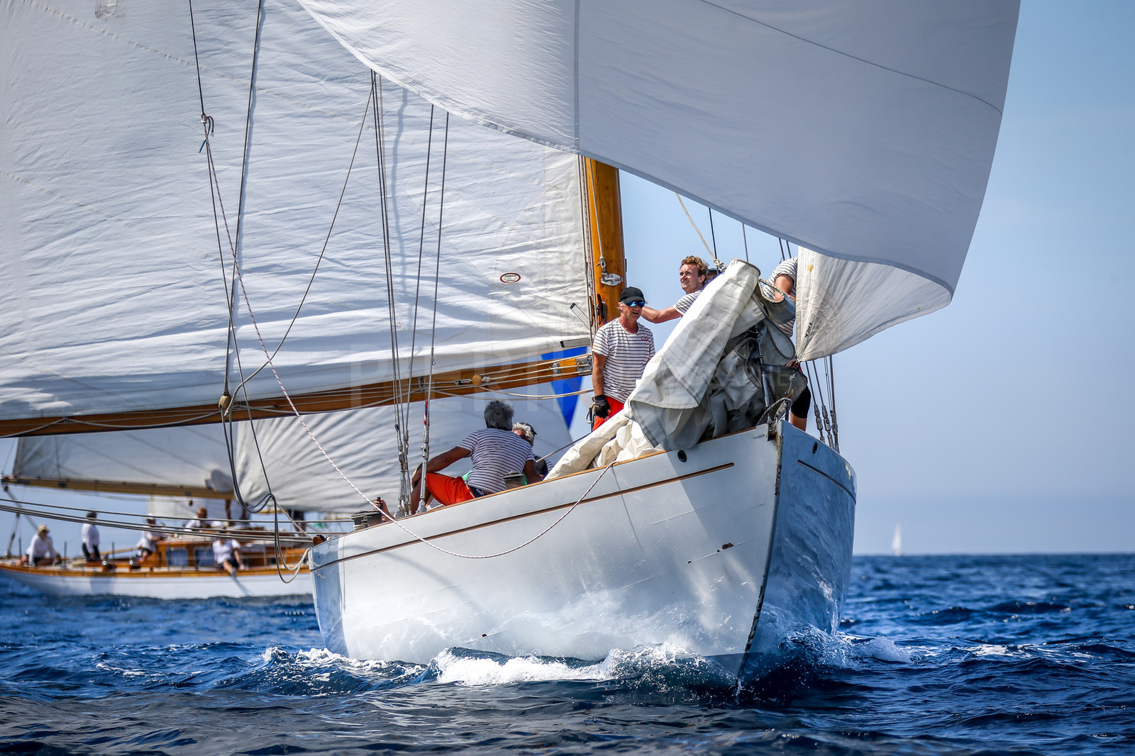 A29X4845.jpg