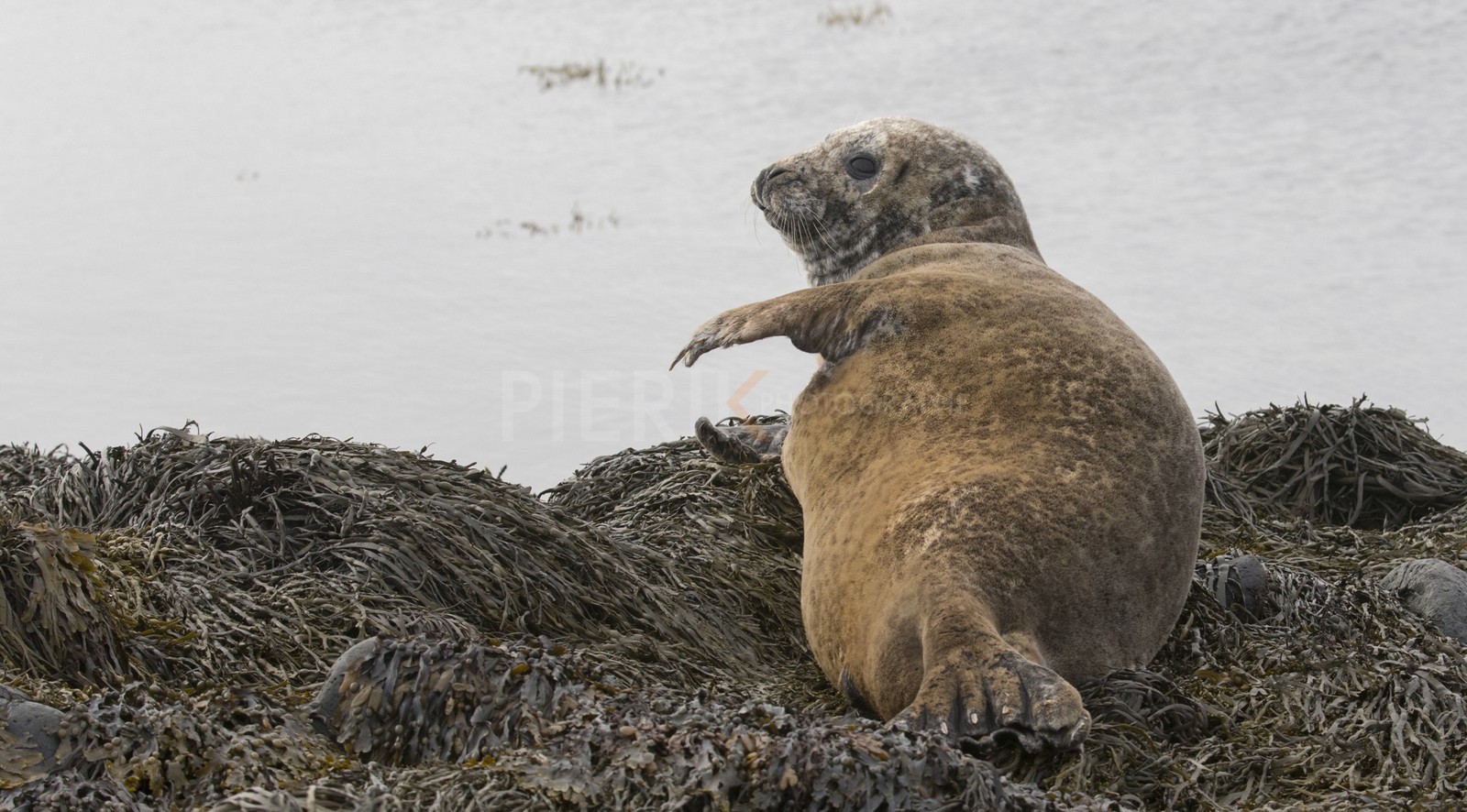 A29X3803.jpg A29X3803.jpg