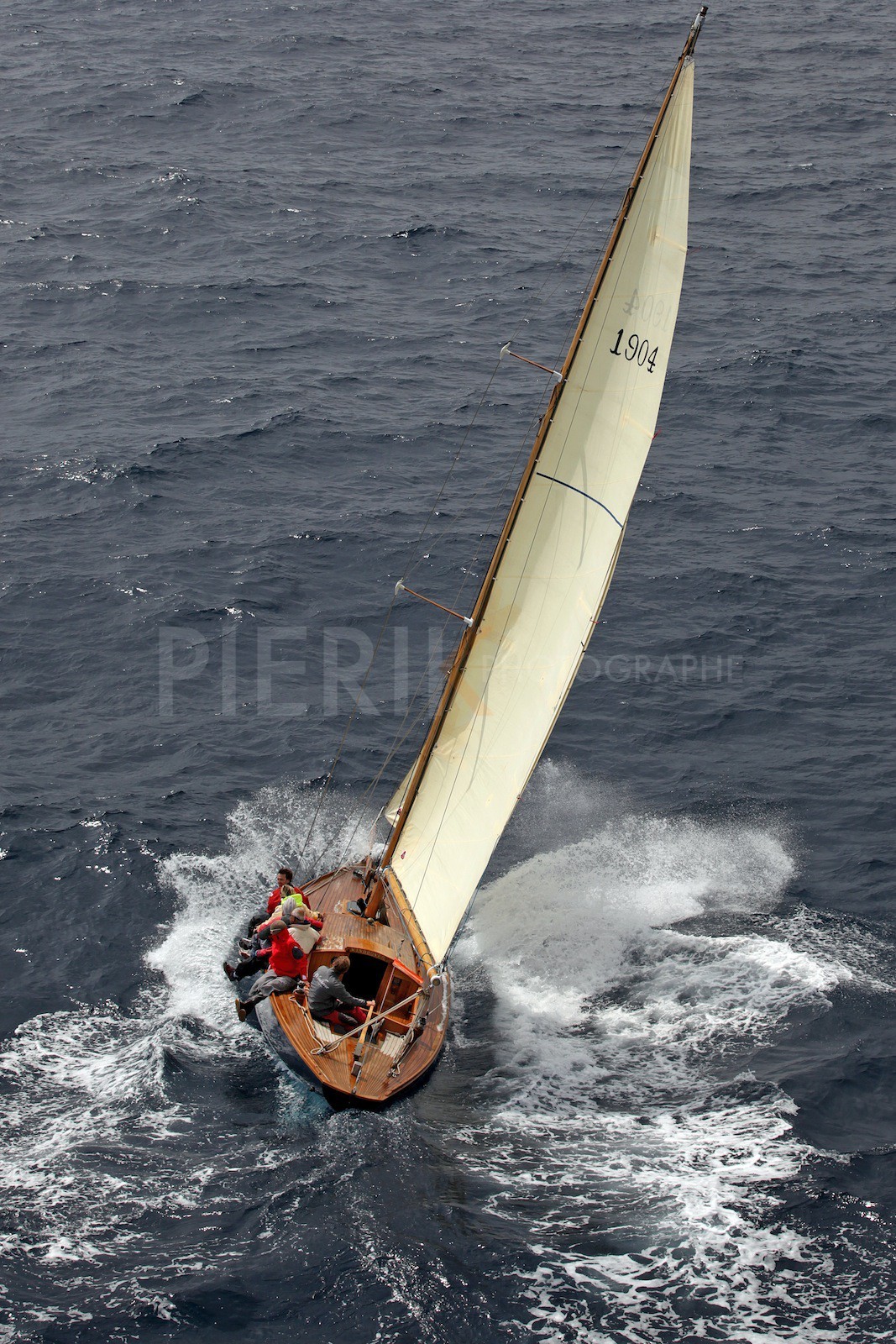 Windhover