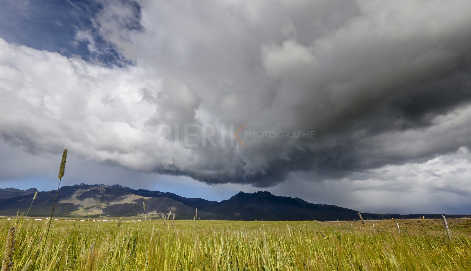 A29X3443.jpg A29X3443.jpg