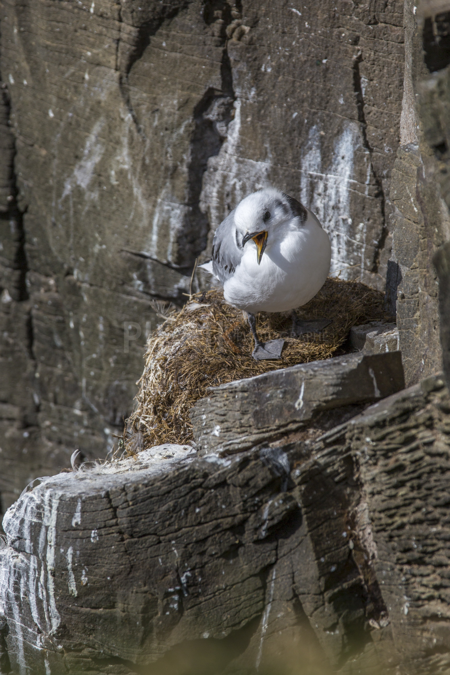 O60A8634.jpg O60A8634.jpg