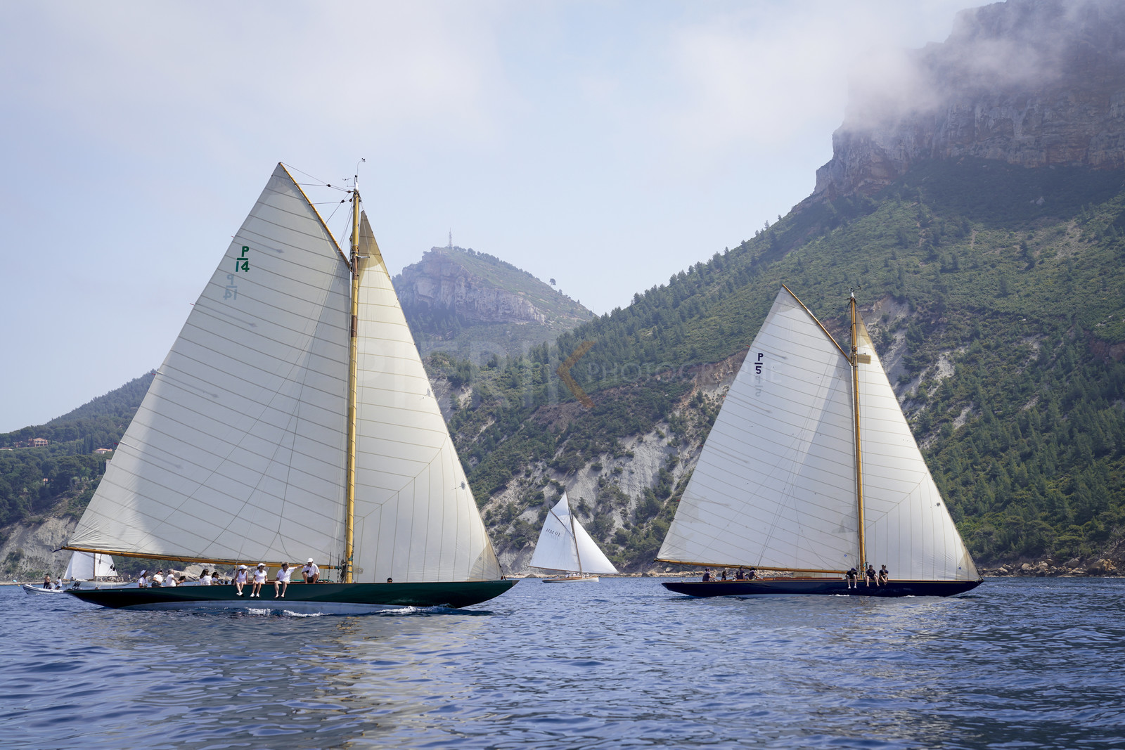 _DSC5074.jpg