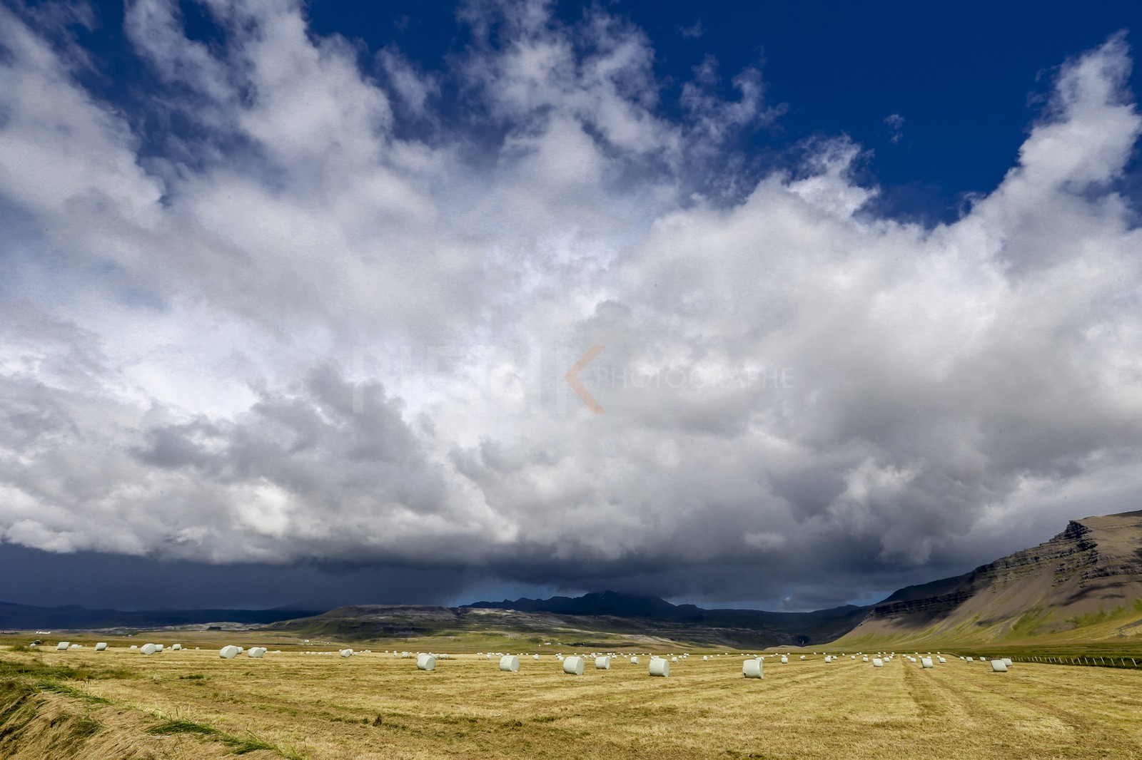 A29X3395.jpg A29X3395.jpg