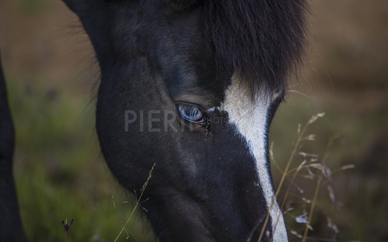 A29X4281.jpg A29X4281.jpg