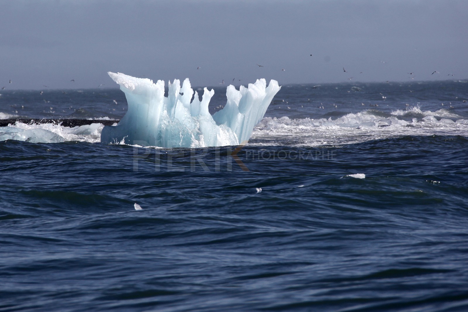 Iceberg
