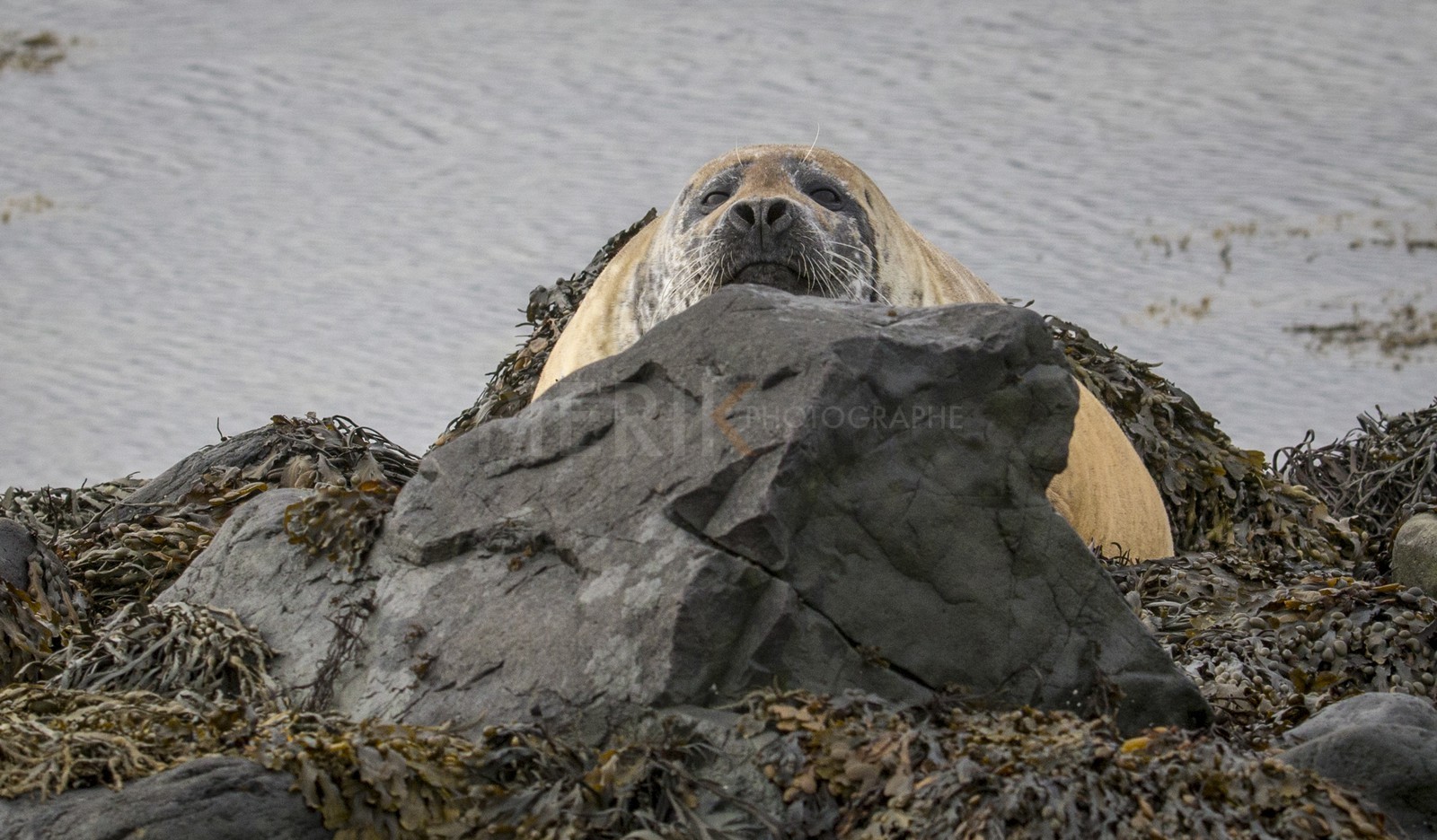 A29X3800.jpg A29X3800.jpg