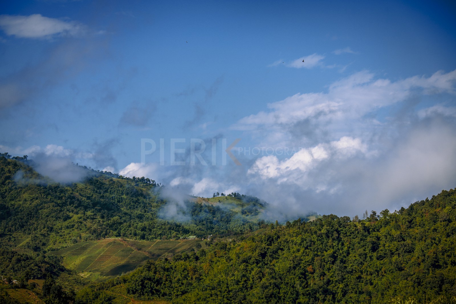 15122013-BL6A1759-Modifier.jpg