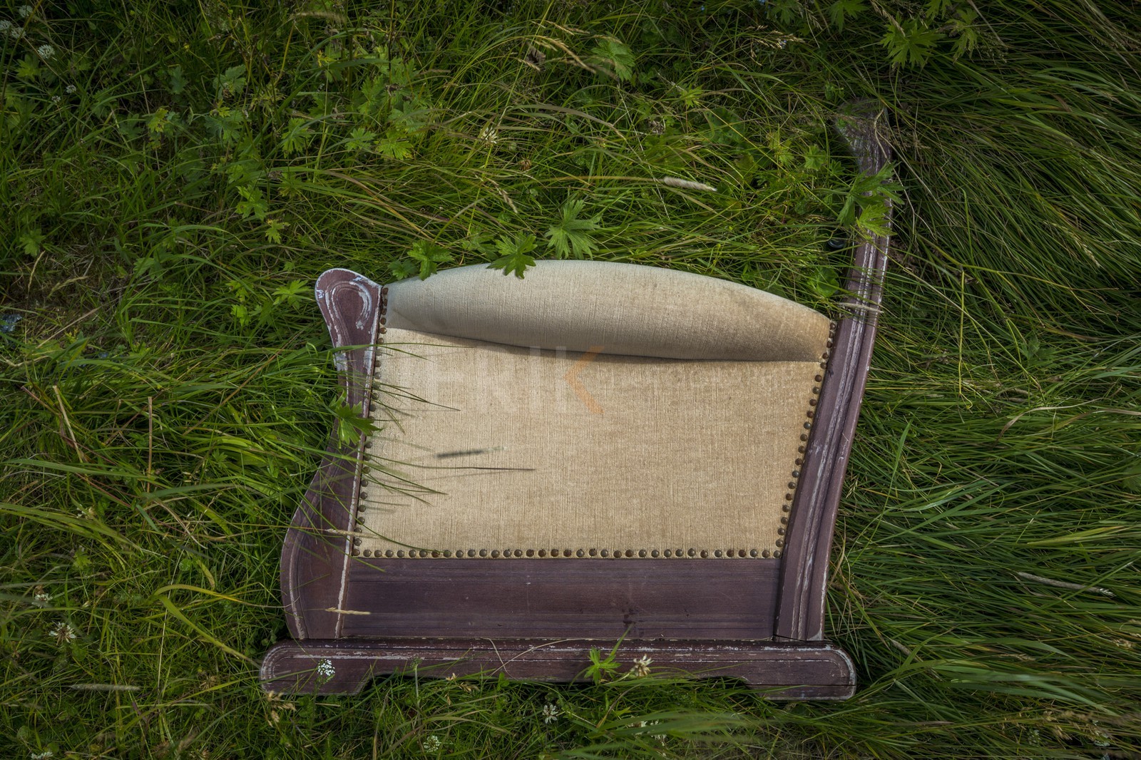 A29X4160.jpg A29X4160.jpg