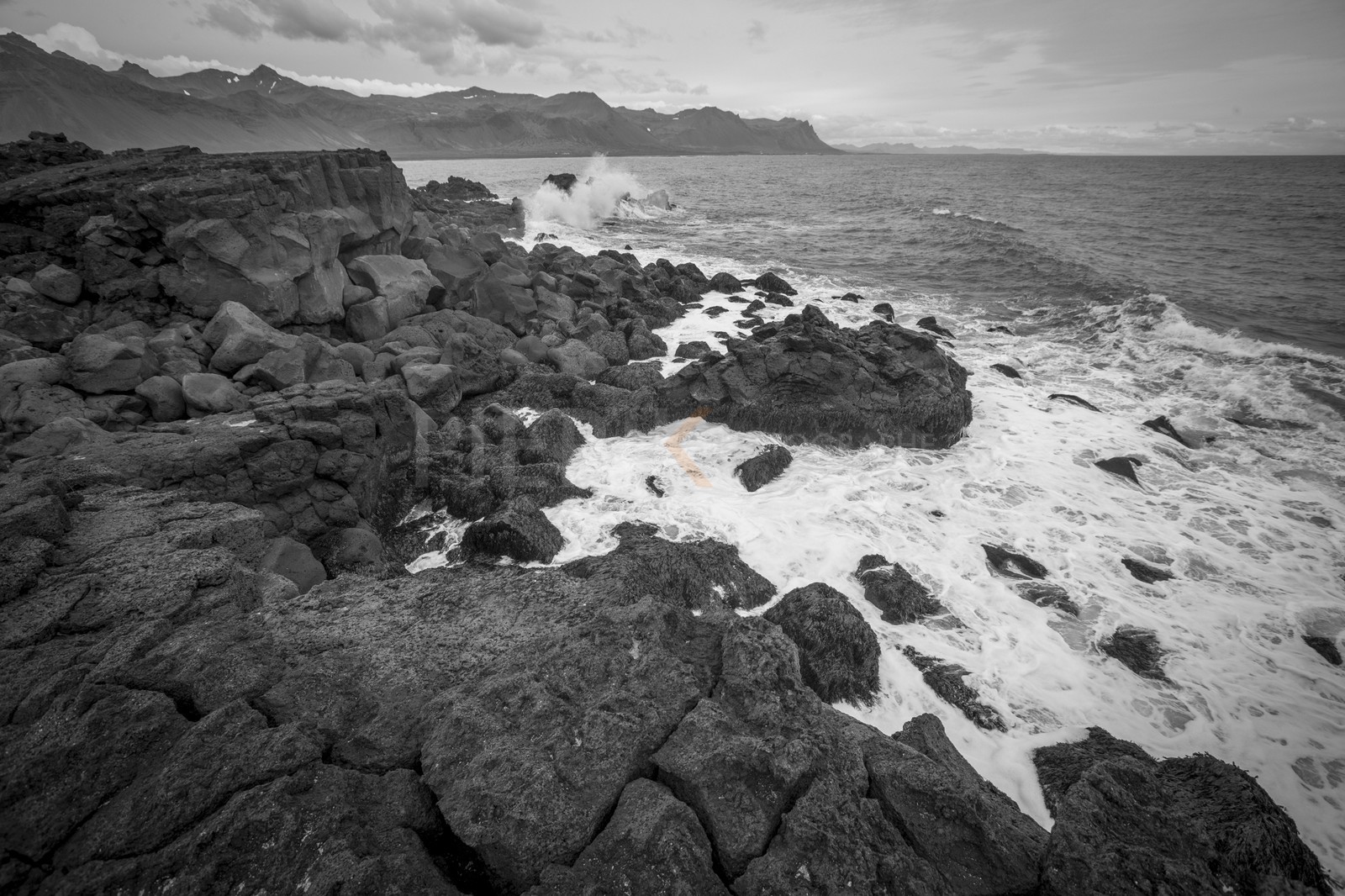 A29X3733.jpg A29X3733.jpg