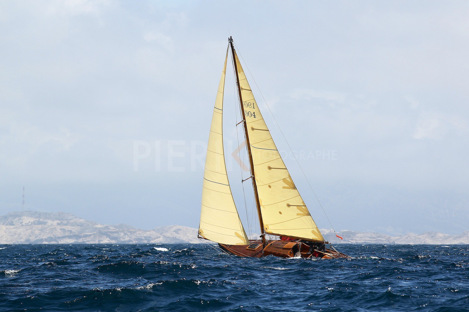 Windhover