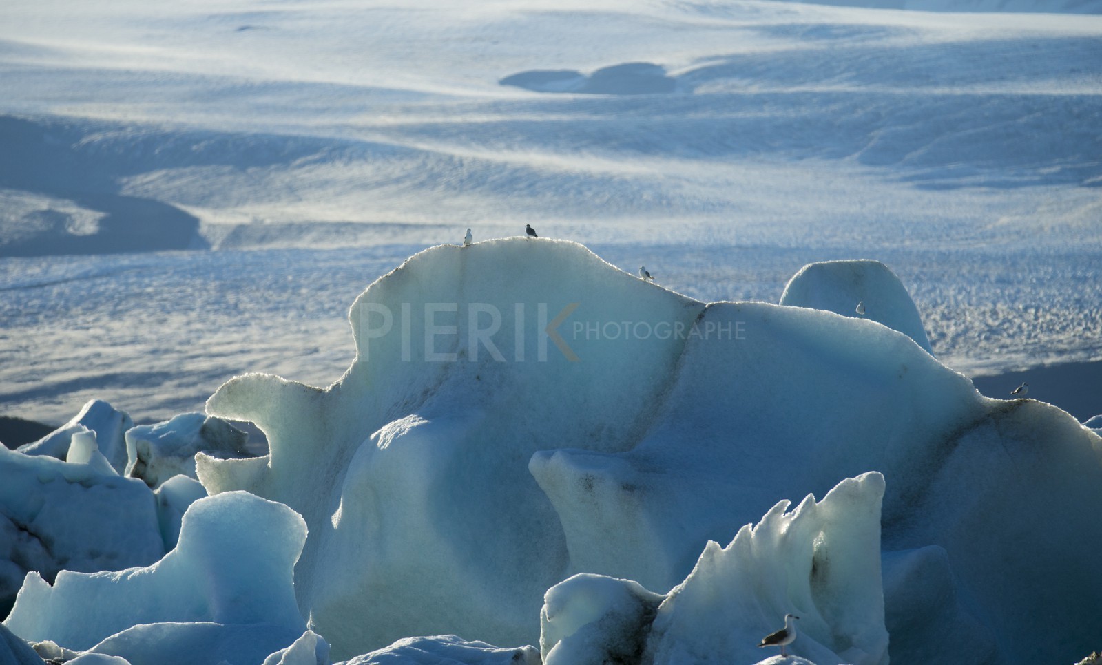 A29X4759.jpg A29X4759.jpg