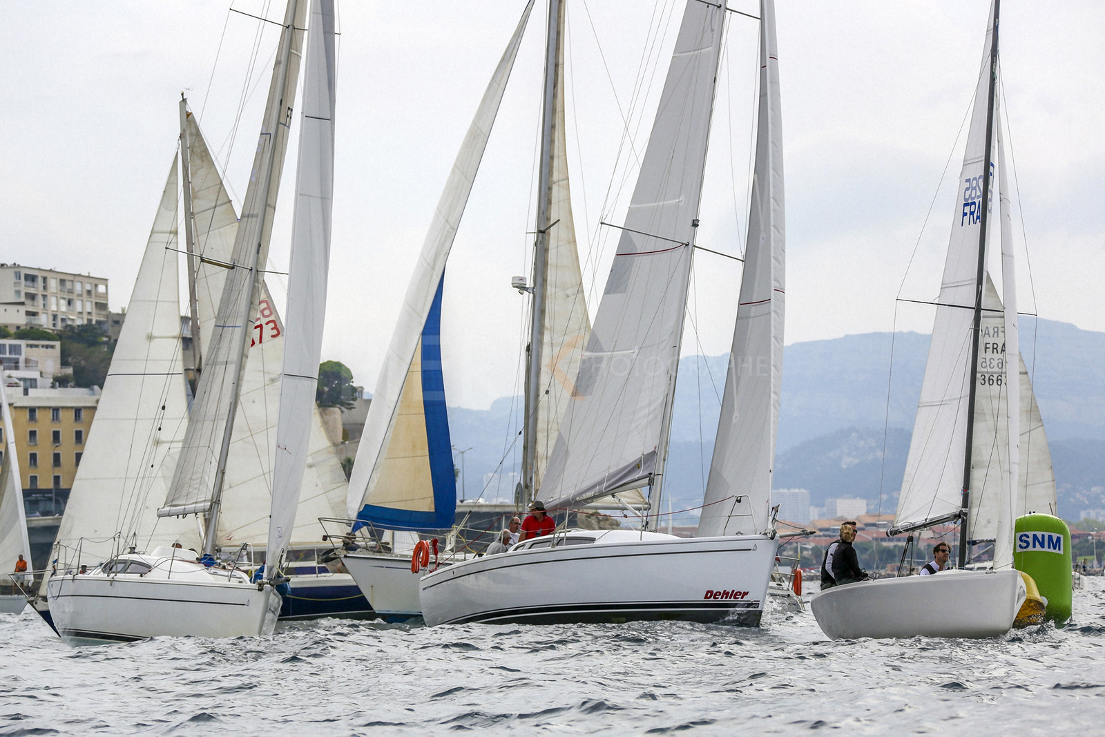 VireVire2014-48.jpg