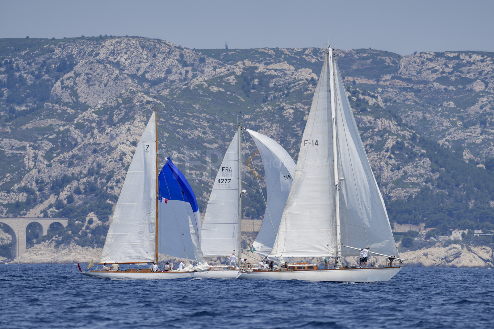 VVP_2023-07743.jpg