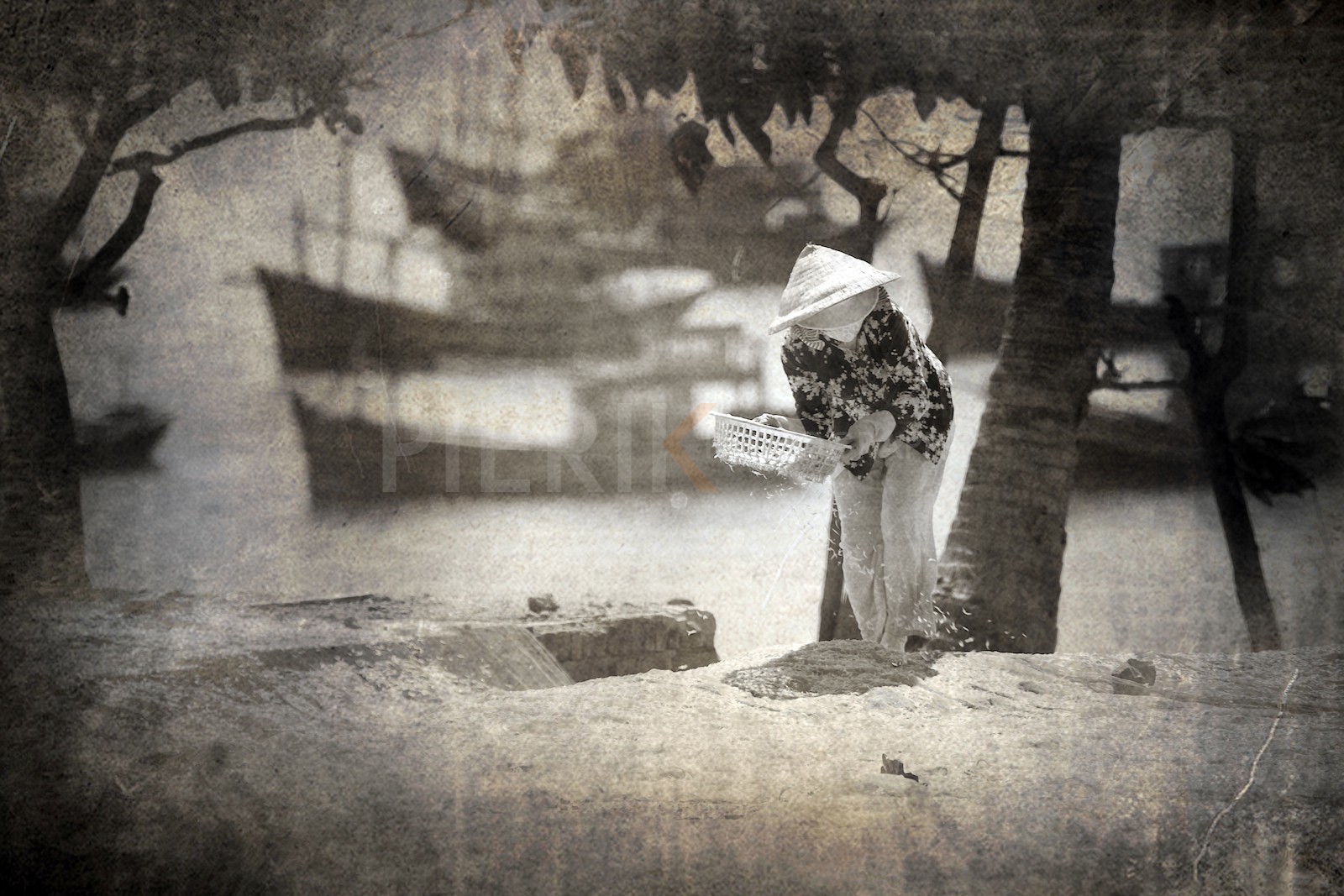 Séchage des crevettes à Mui Ne Séchage des crevettes à Mui Ne