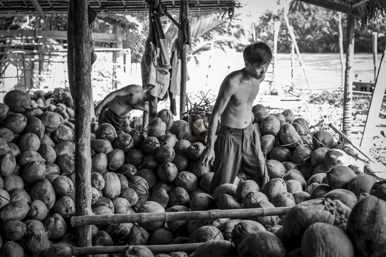 BenTre-42.jpg