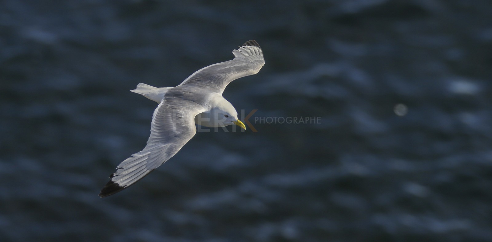 A29X3553.jpg A29X3553.jpg