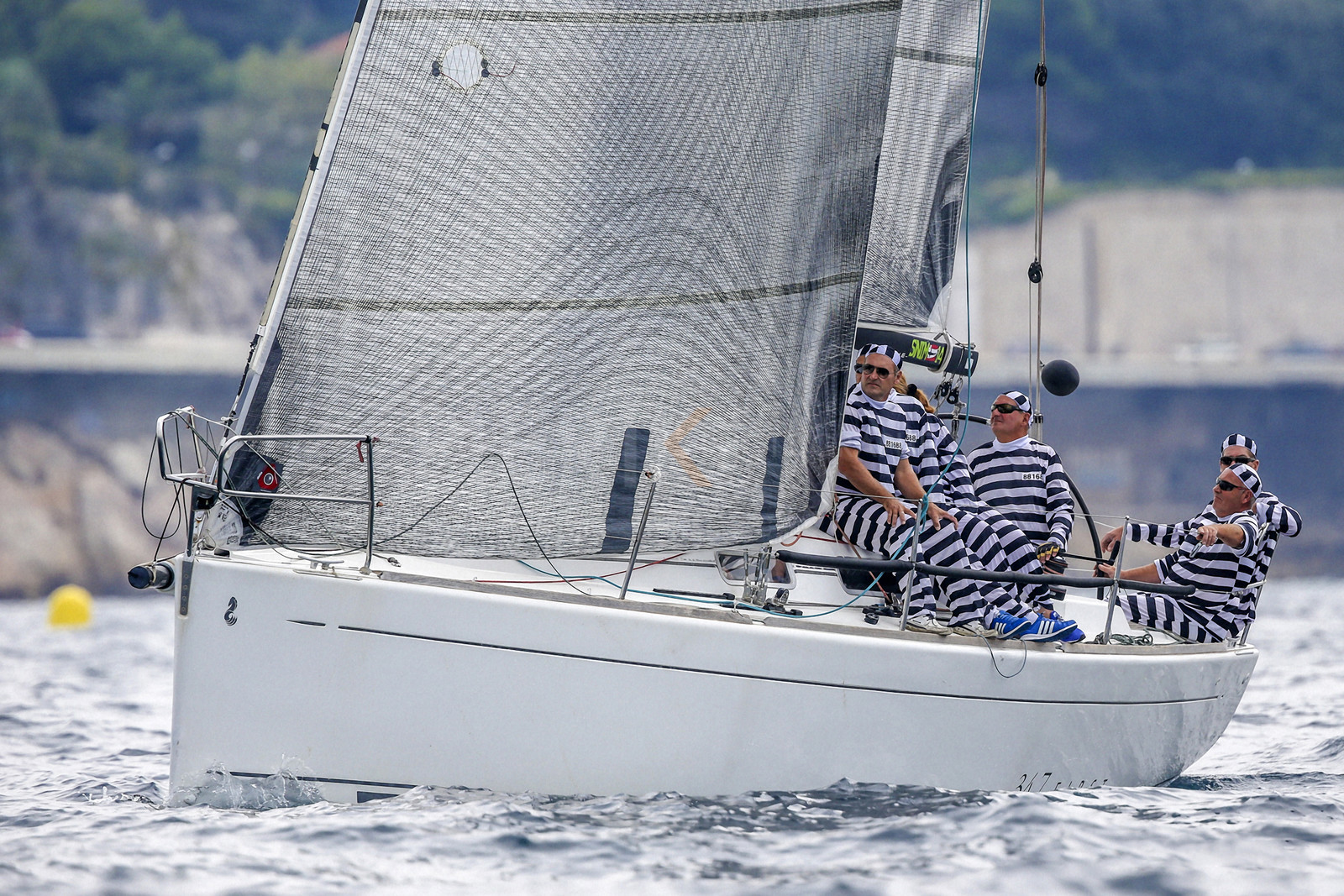 VireVire2014-59.jpg