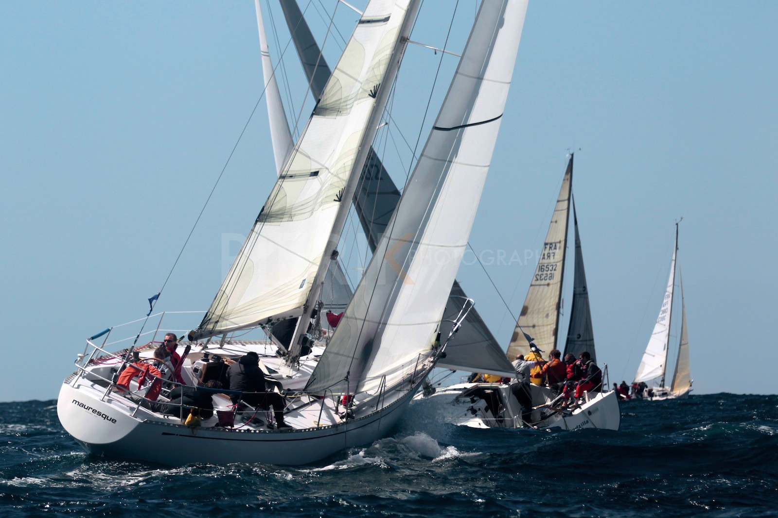 Mauresque croise Godzilla