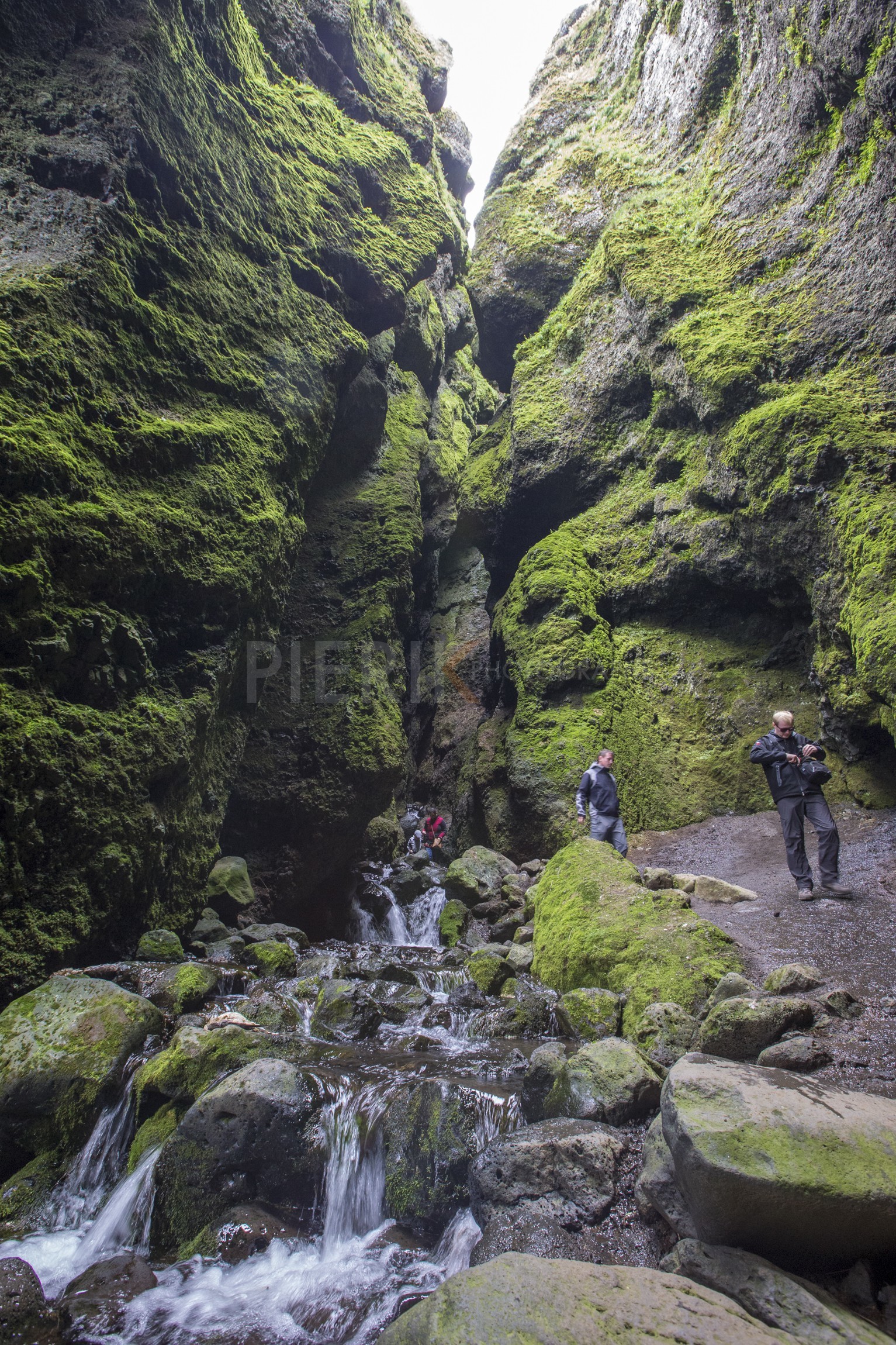 A29X3710.jpg A29X3710.jpg