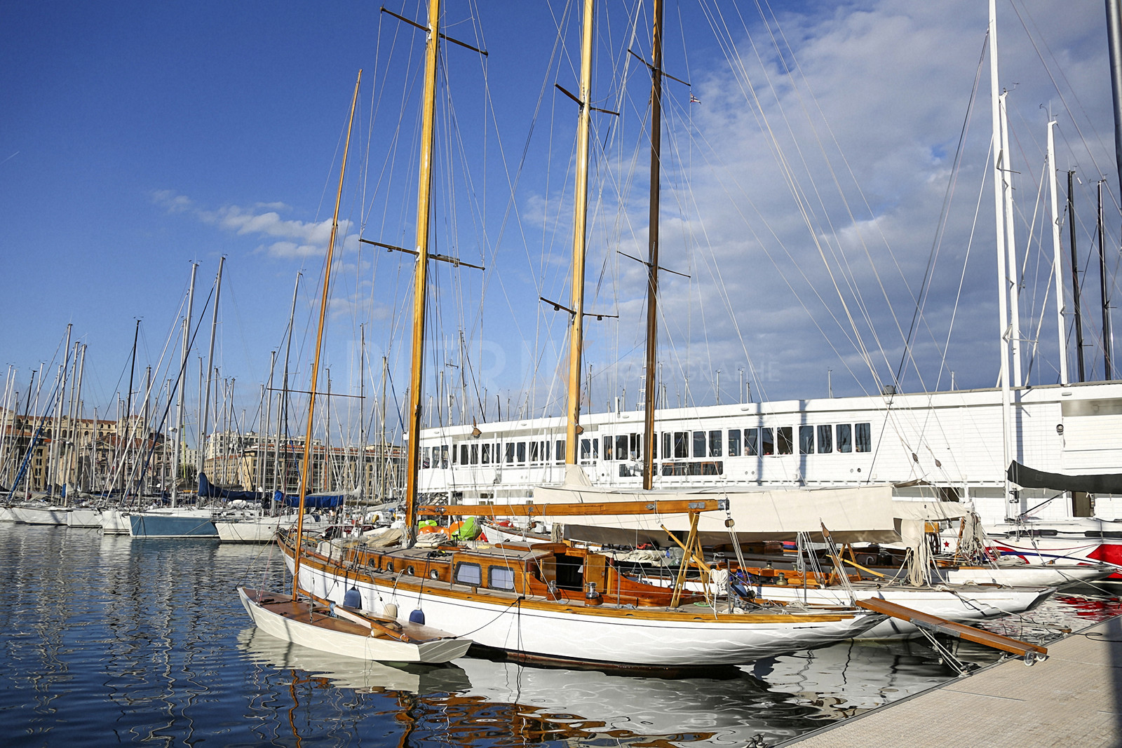 VireVire2014-314.jpg