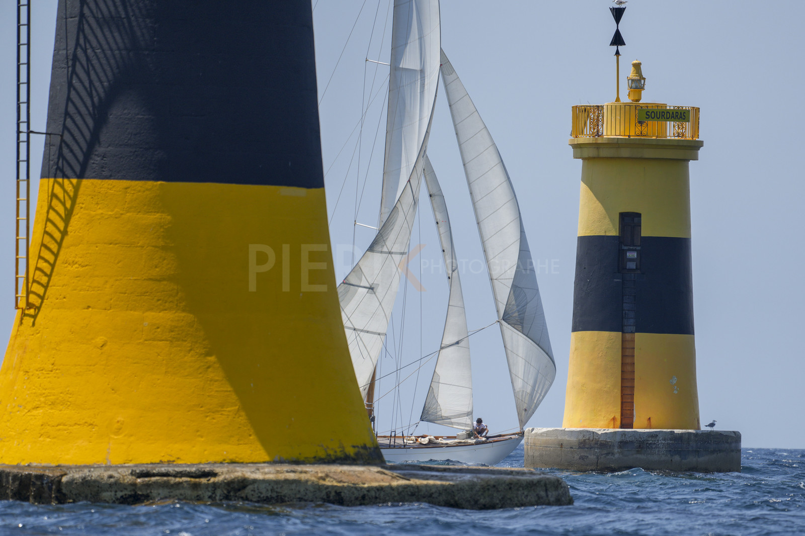 VVP_2023-08443.jpg