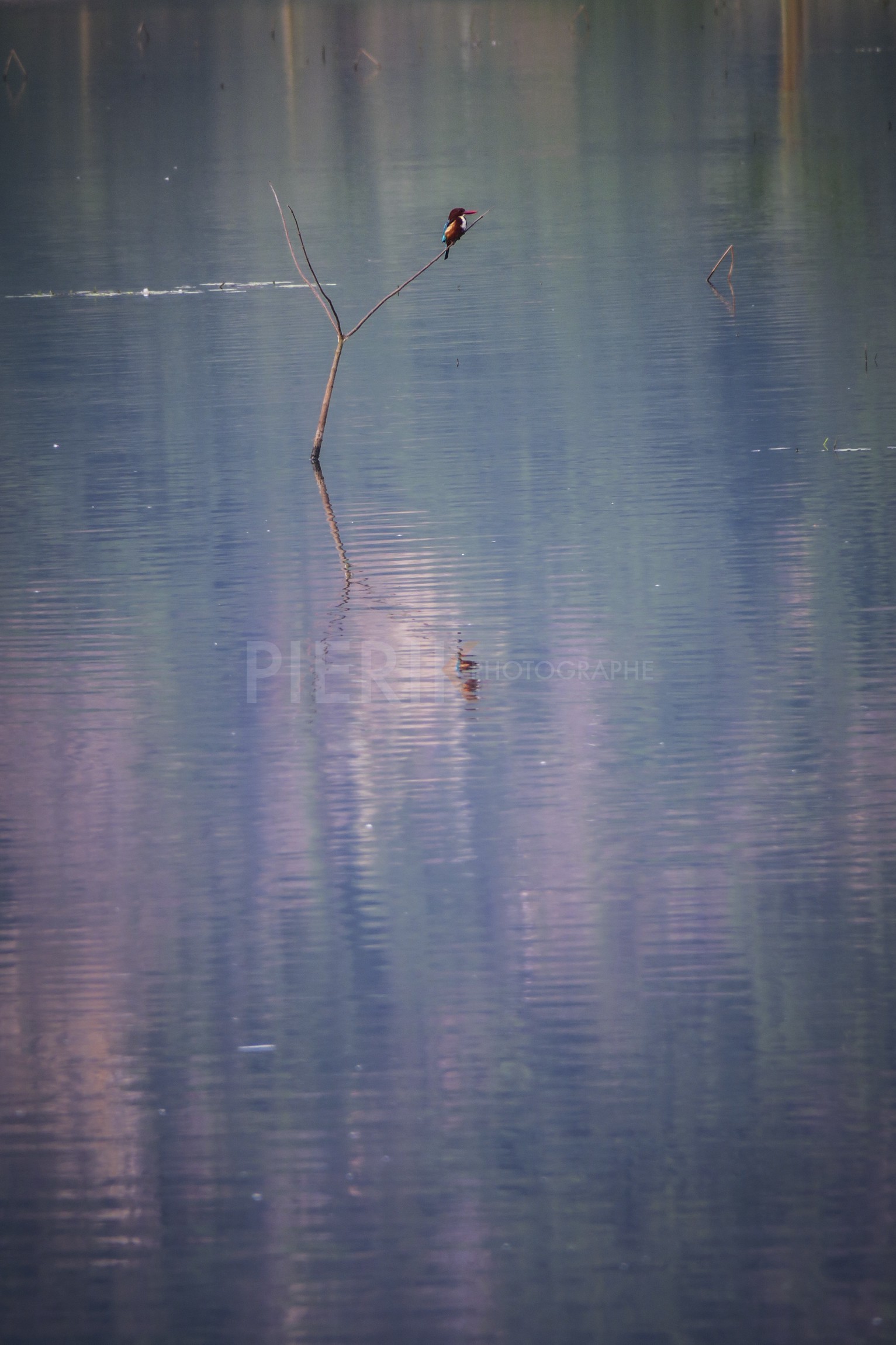 Tam Coc-26.jpg