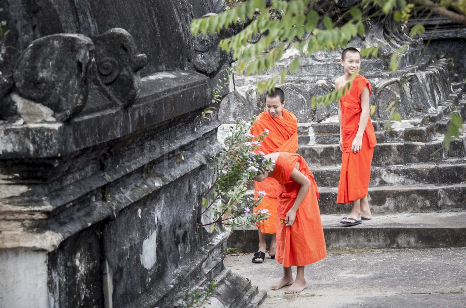 LuangPrabang20.jpg