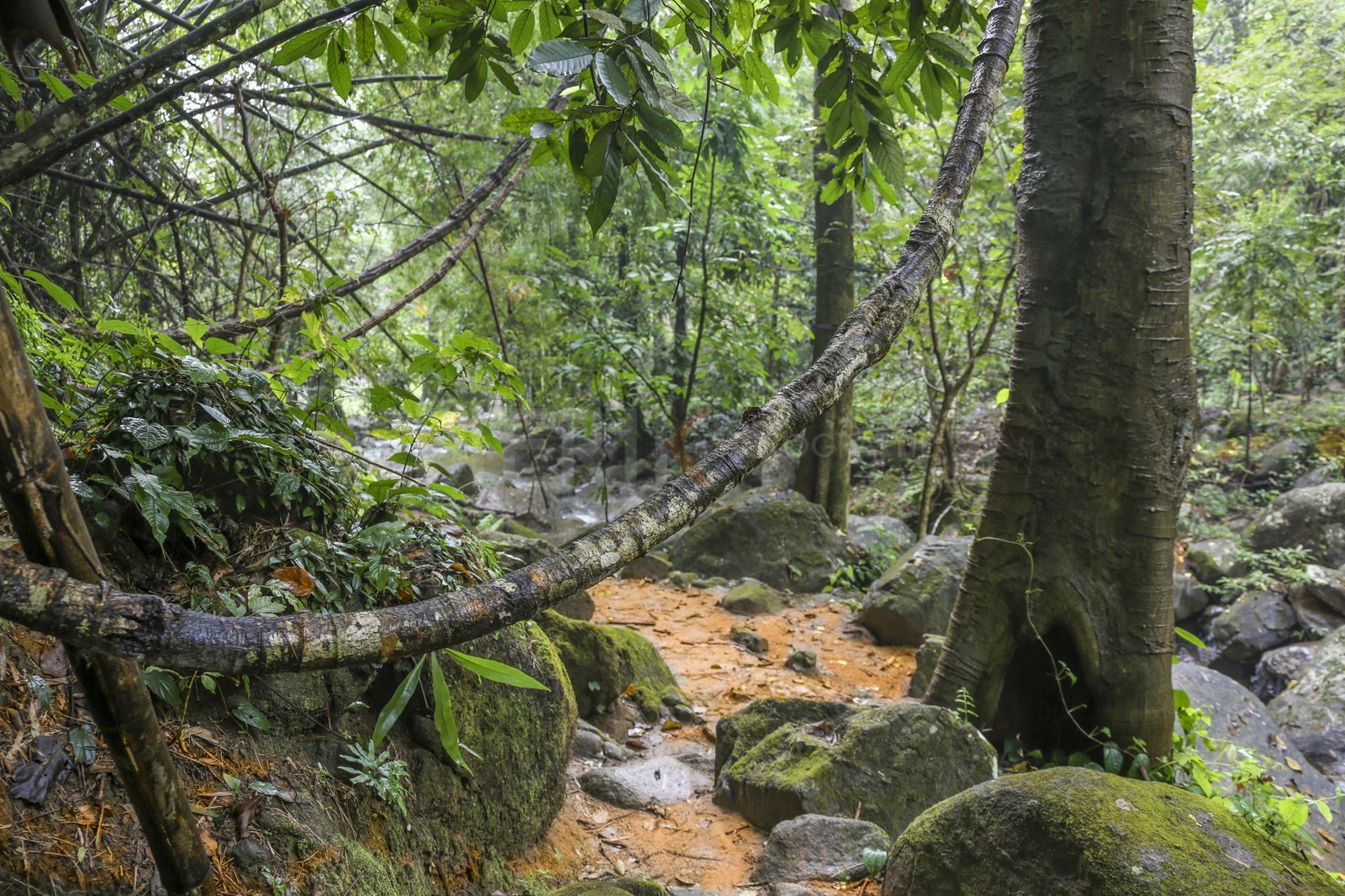 15122013-BL6A1695.jpg