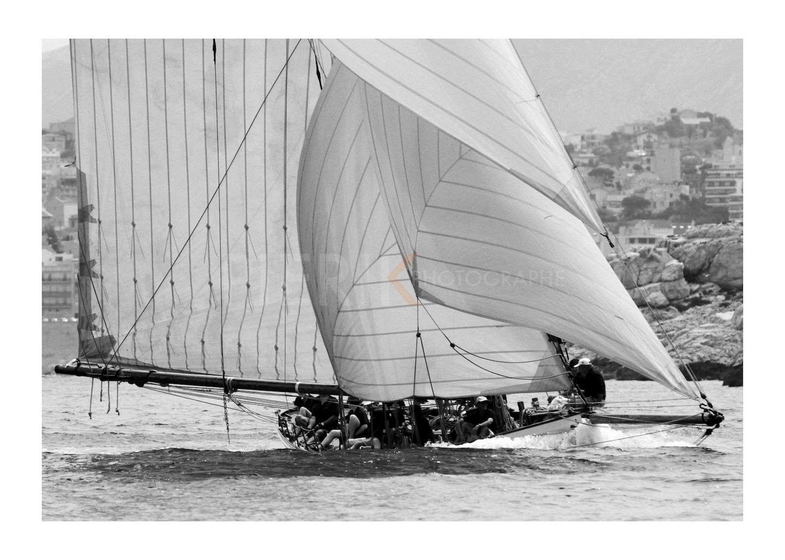 Partridge en rade de Marseille