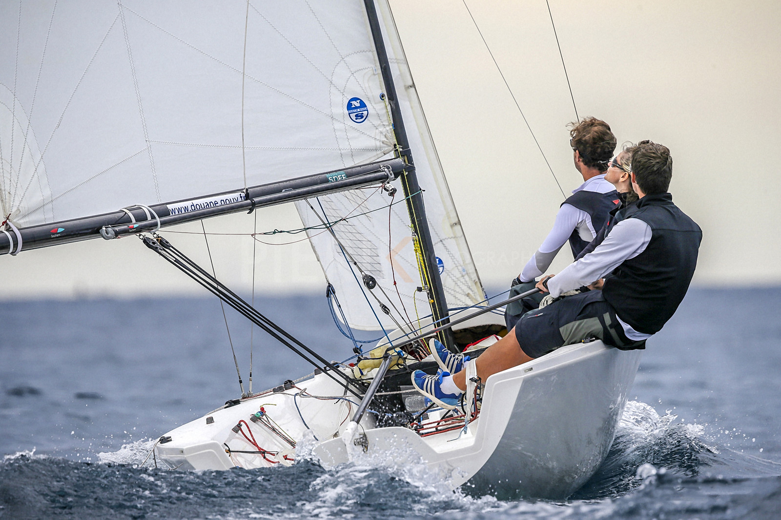 VireVire2014-194.jpg